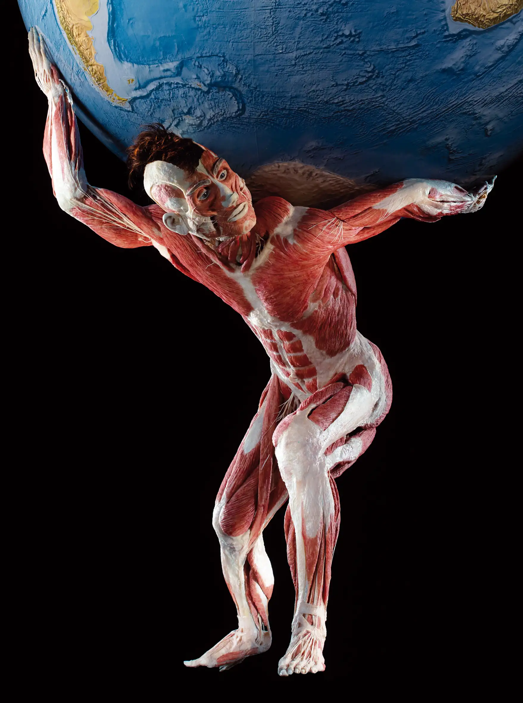 Plastination eines menschlichen Körpers in einer tänzerischen Pose, ausgestellt bei Körperwelten 2025. Mensch trägt die Welt auf dem Rücken.