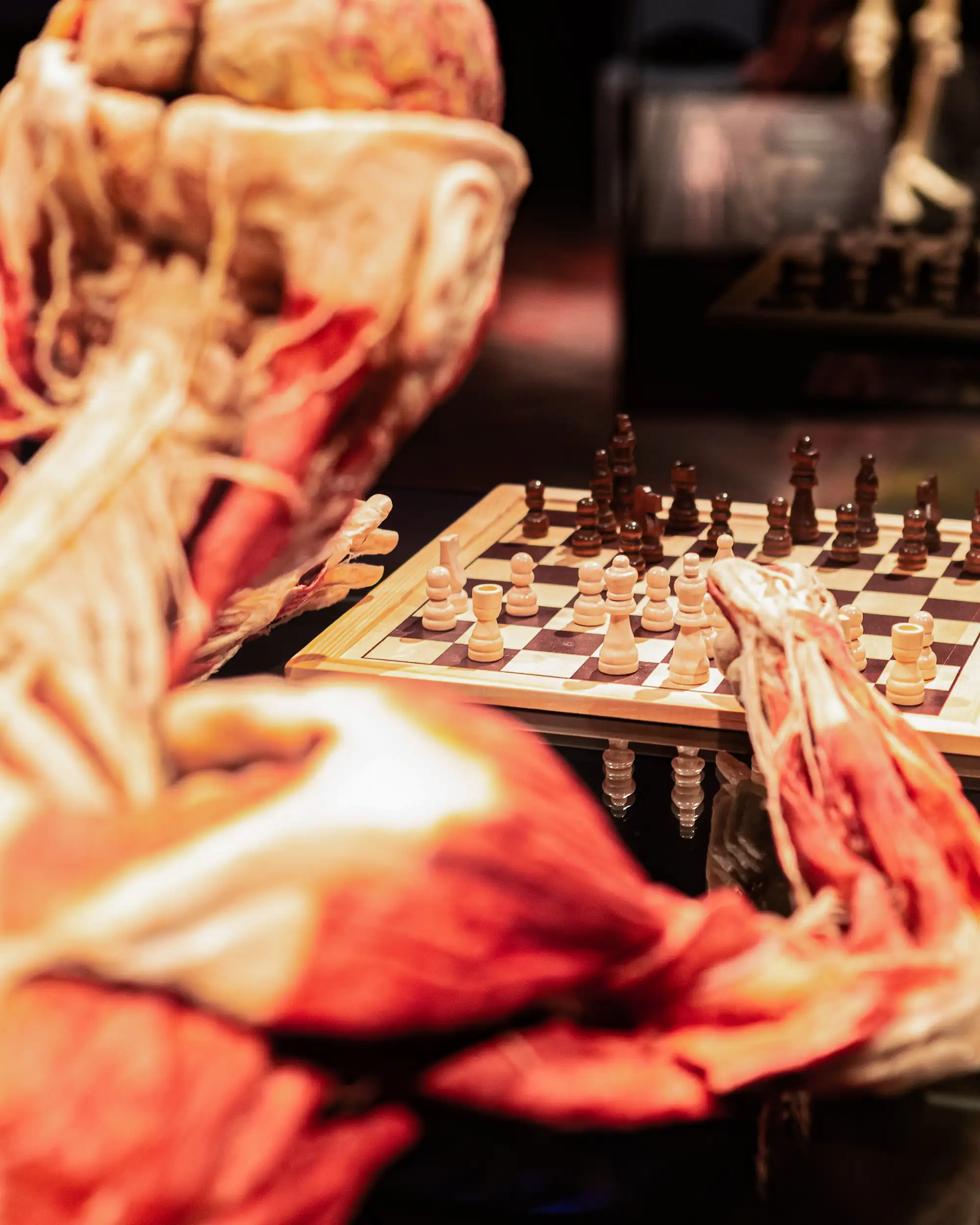 Plastination eines menschlichen Körpers beim Schach Spielen, ausgestellt bei Körperwelten 2025.
