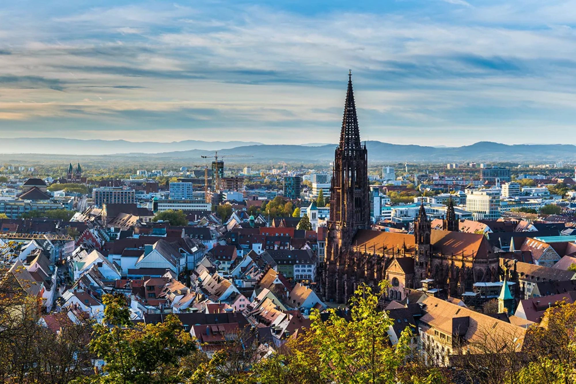 Blick auf Münster bei einer Reise mit Hotel in Freiburg im Breisgau