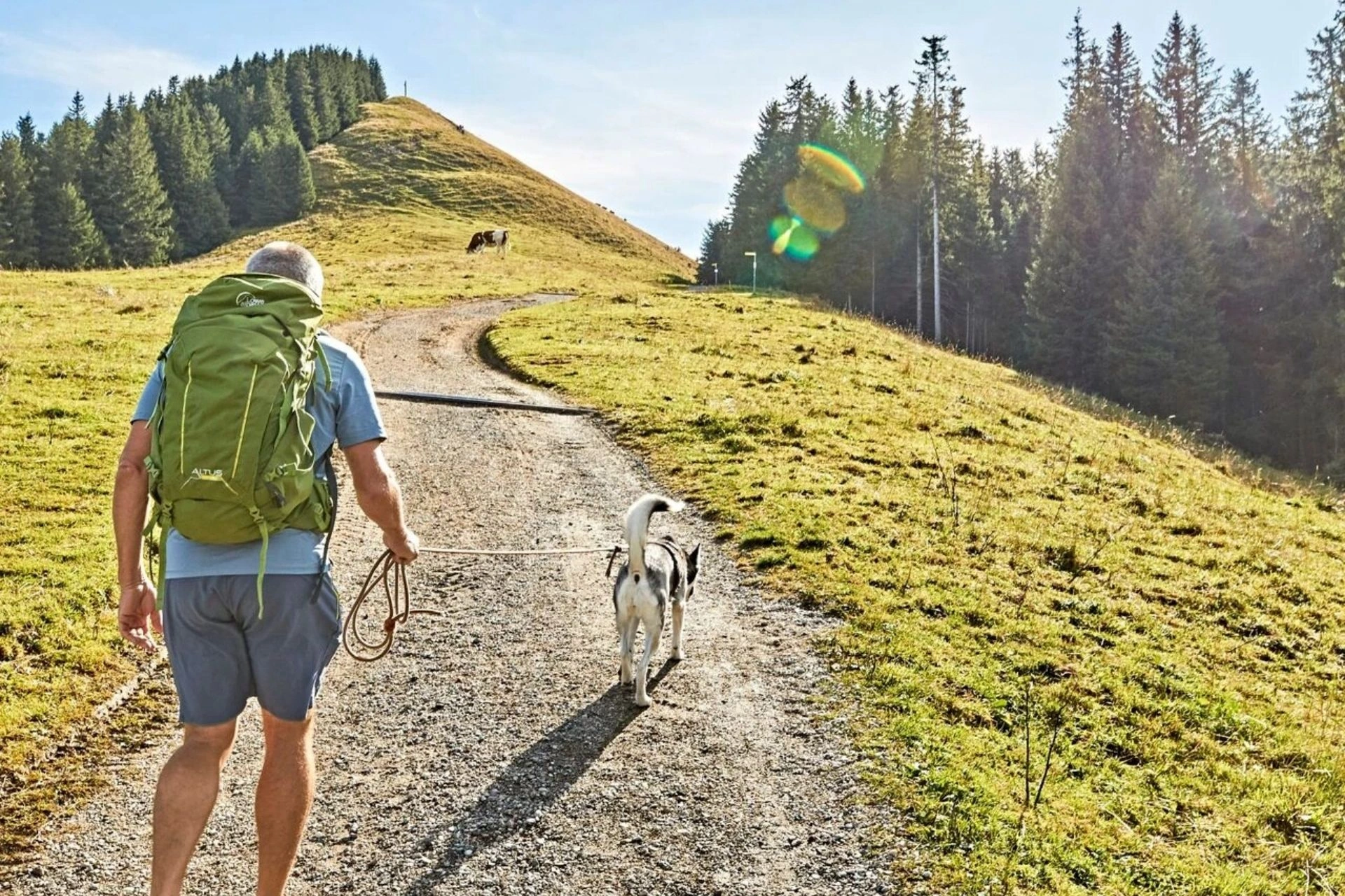 Barfuß gehender Wanderer mit Hund an Leine und Rucksack geht einen Wanderweg in Richtung Bergspitze.