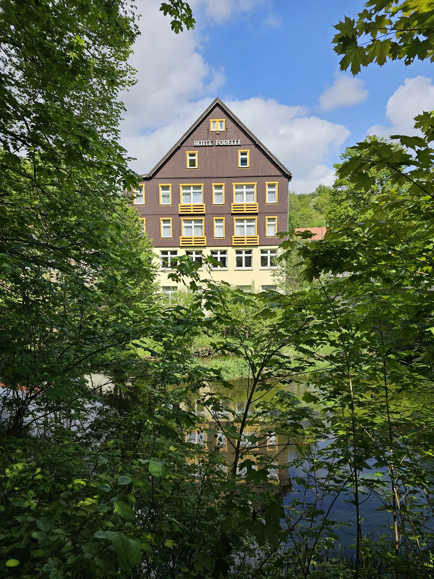 Ferienhotel Forelle - Aussicht auf das Hotel von Weitem