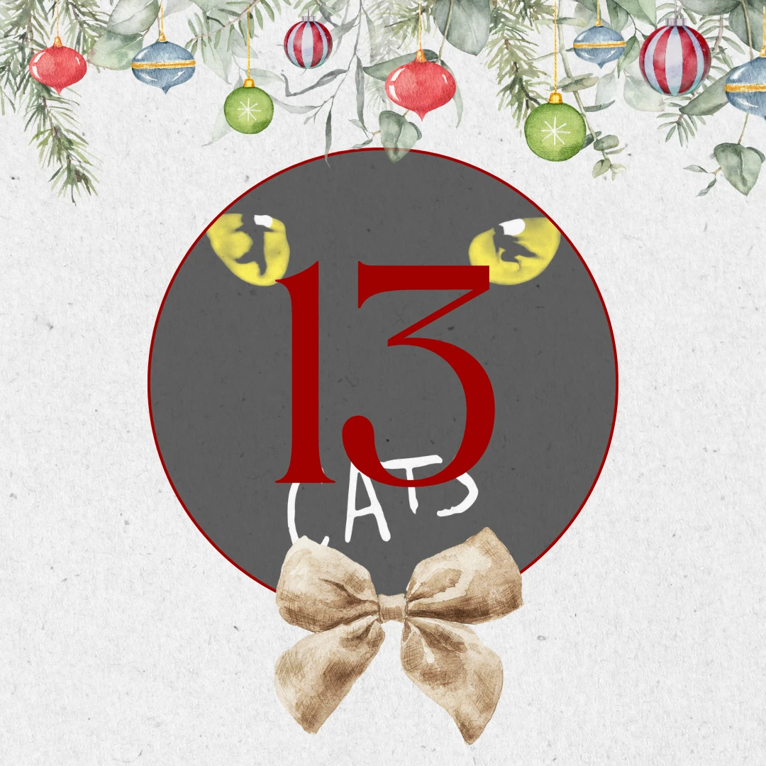 aovo Adventskalender 2024 - Türchen 13 offen rot mit goldener Schleife, bunten Christbaumkugeln und Tannenzweigen auf hellem Hintergrund.