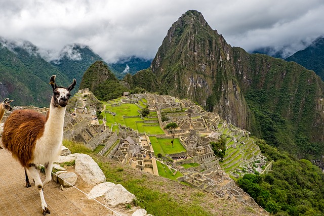 Rundreise durch Peru mit Weltkulturerbe Machu Picchu und Alpakas