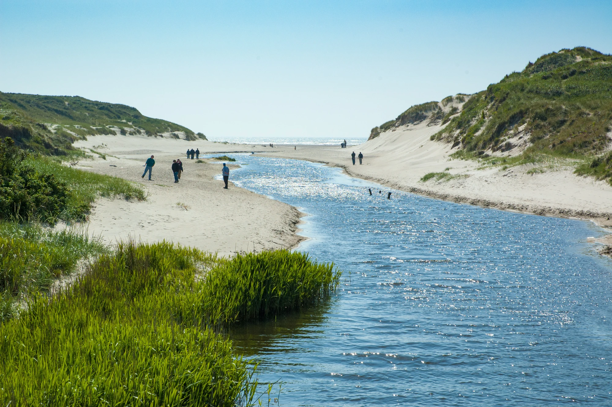 Henne Strand auf Jütland bei bedecktem Wetter bei einem Urlaub mit dem Zug nach Aarhus