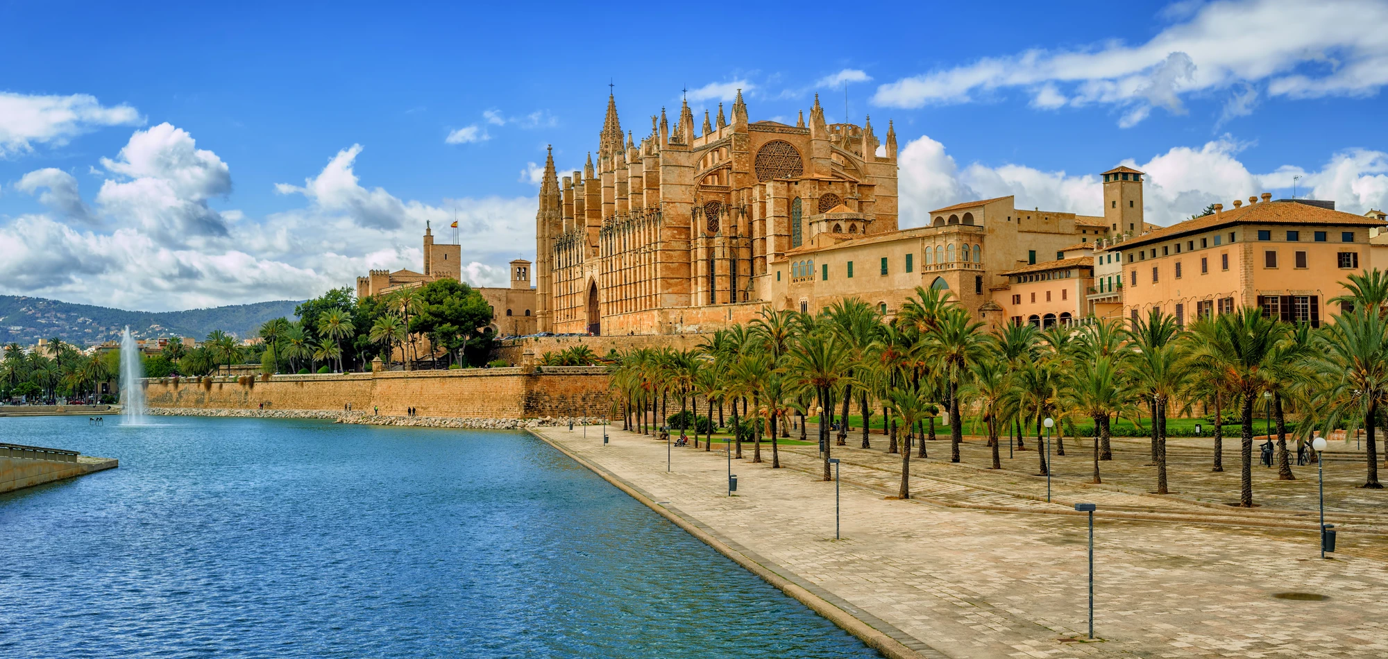 Plama de Mallorca Gotische Kathedrale mit spitzen Türmen und Rosettenfenster neben Palmenallee am Wasser unter blauem Himmel mit Wolken