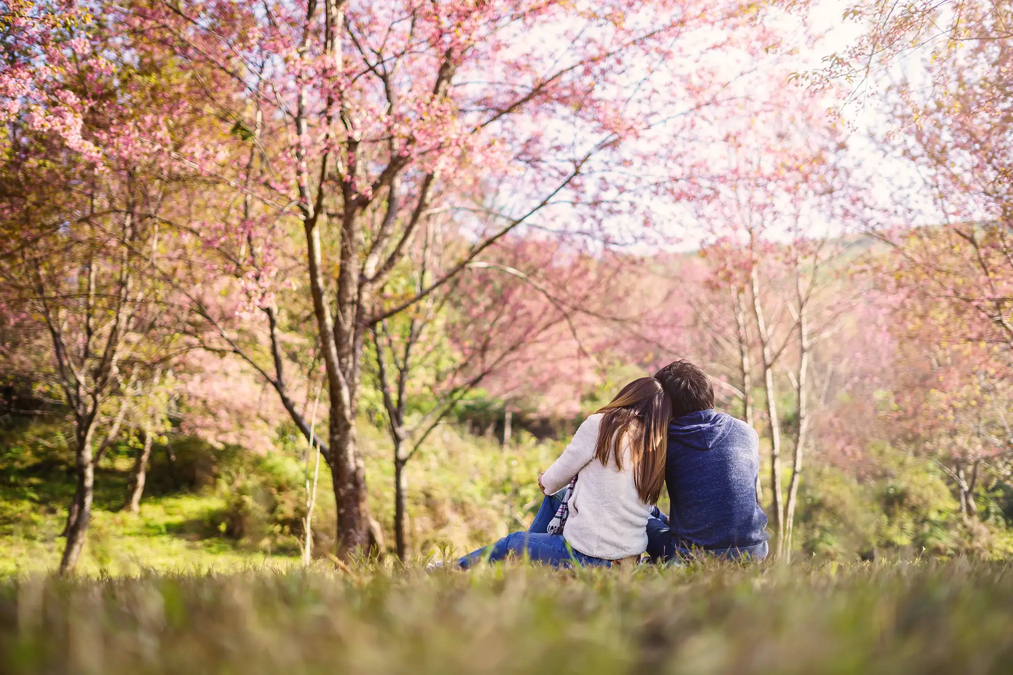 Pärchen im Frühling betrachten zusammen die schönen Blumen