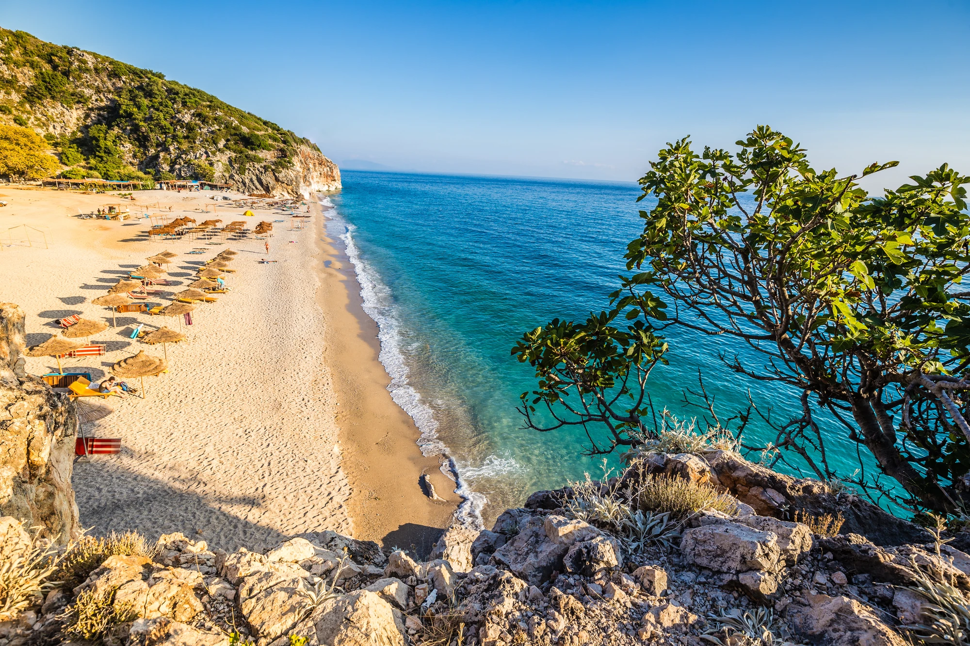 Albania Gjipe Beach - Himare,Sandstrand und Meer mit Strauch im Vordergrund