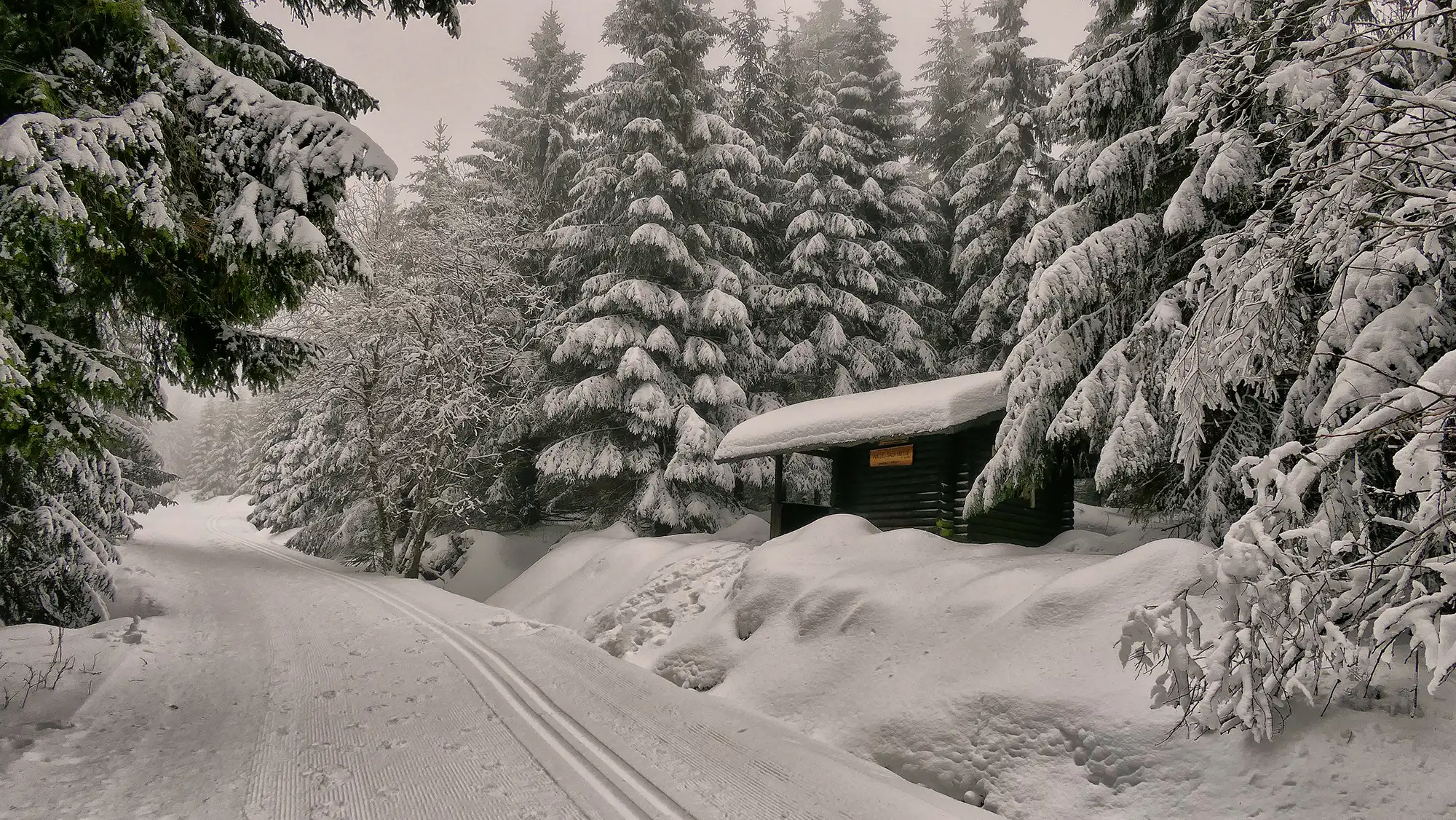 Wilde Sau Rast-Hütte bei Altenau im Winter ind Schnee