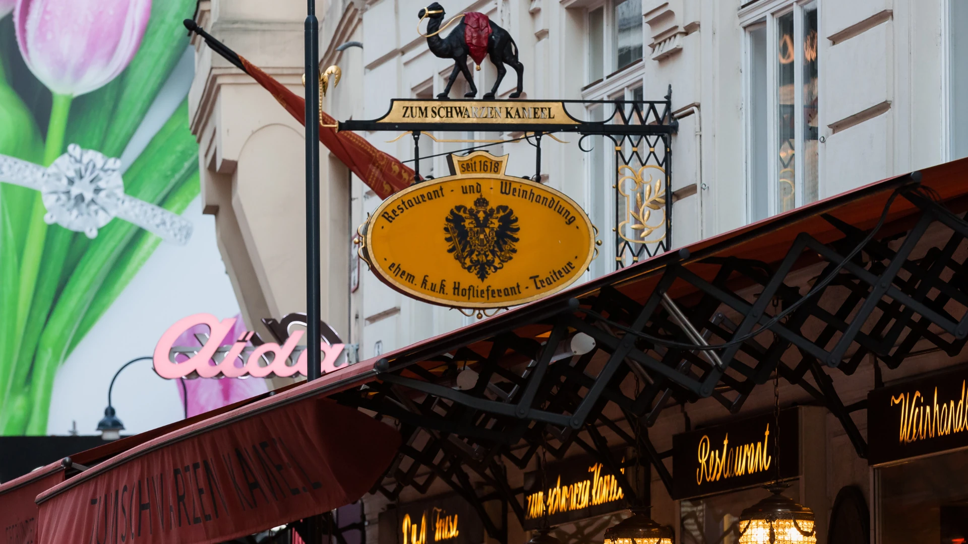 Dieses Foto zeigt das traditionsreiche Restaurant und die Weinhandlung Zum Schwarzen Kameel in Wien. Das kunstvolle Wirtshausschild mit dem schwarzen Kamel und dem k.u.k. Doppeladler verweist auf die lange Geschichte des Hauses, das seit 1618 besteht. Die elegante Außenfassade und die stilvolle Beleuchtung unterstreichen das gehobene Ambiente dieses Wiener Kultlokals.