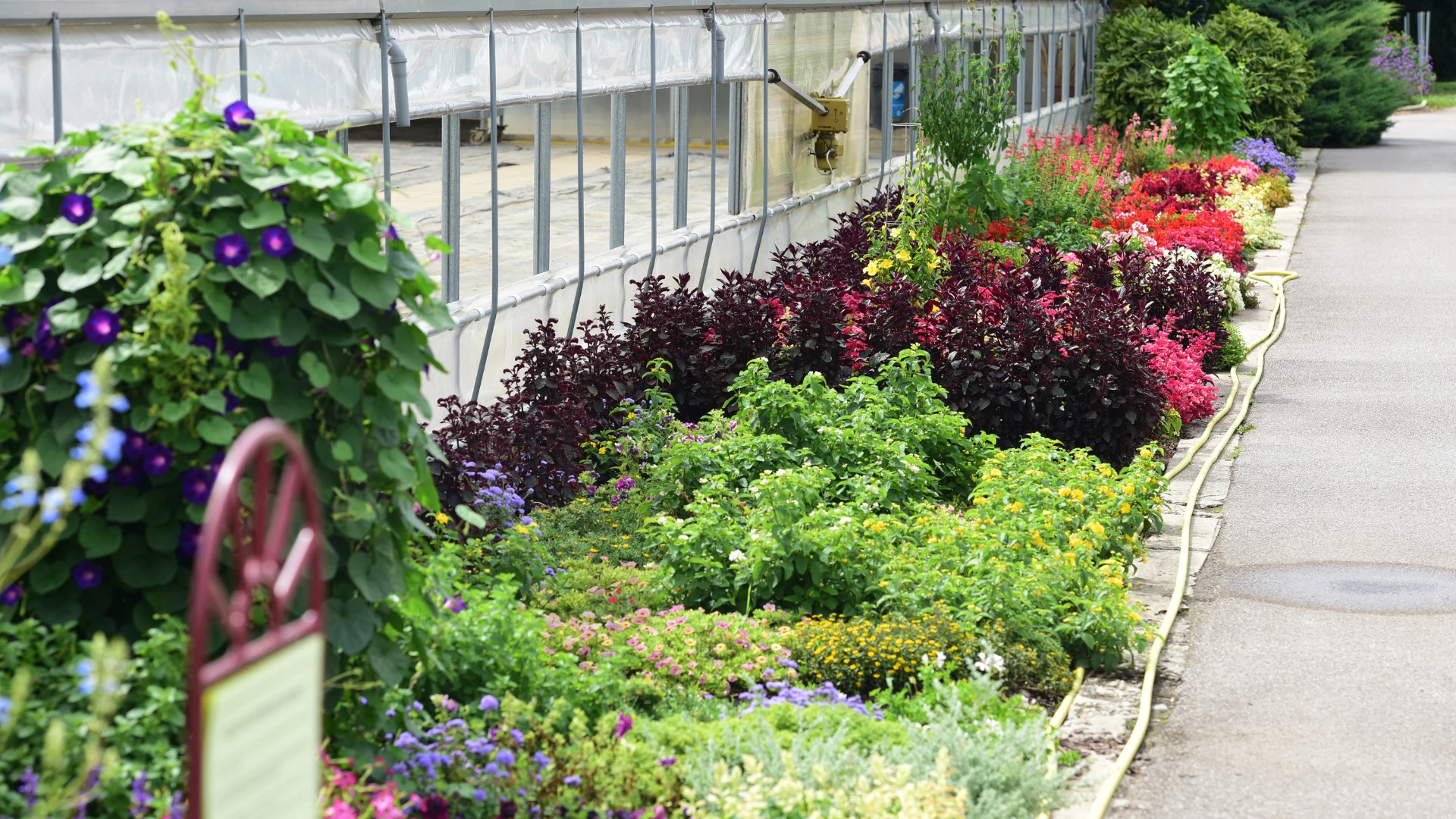 Schulgarten Kagran in Wien.