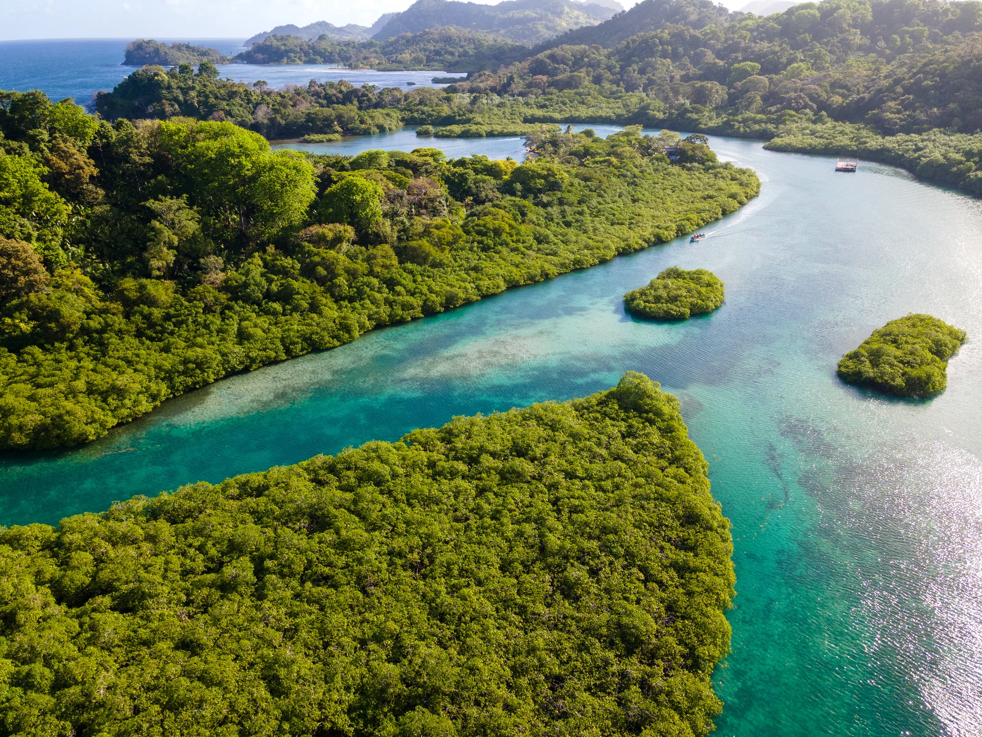Grüne Inseln im Wasser, umgeben von tropischer Vegetation.