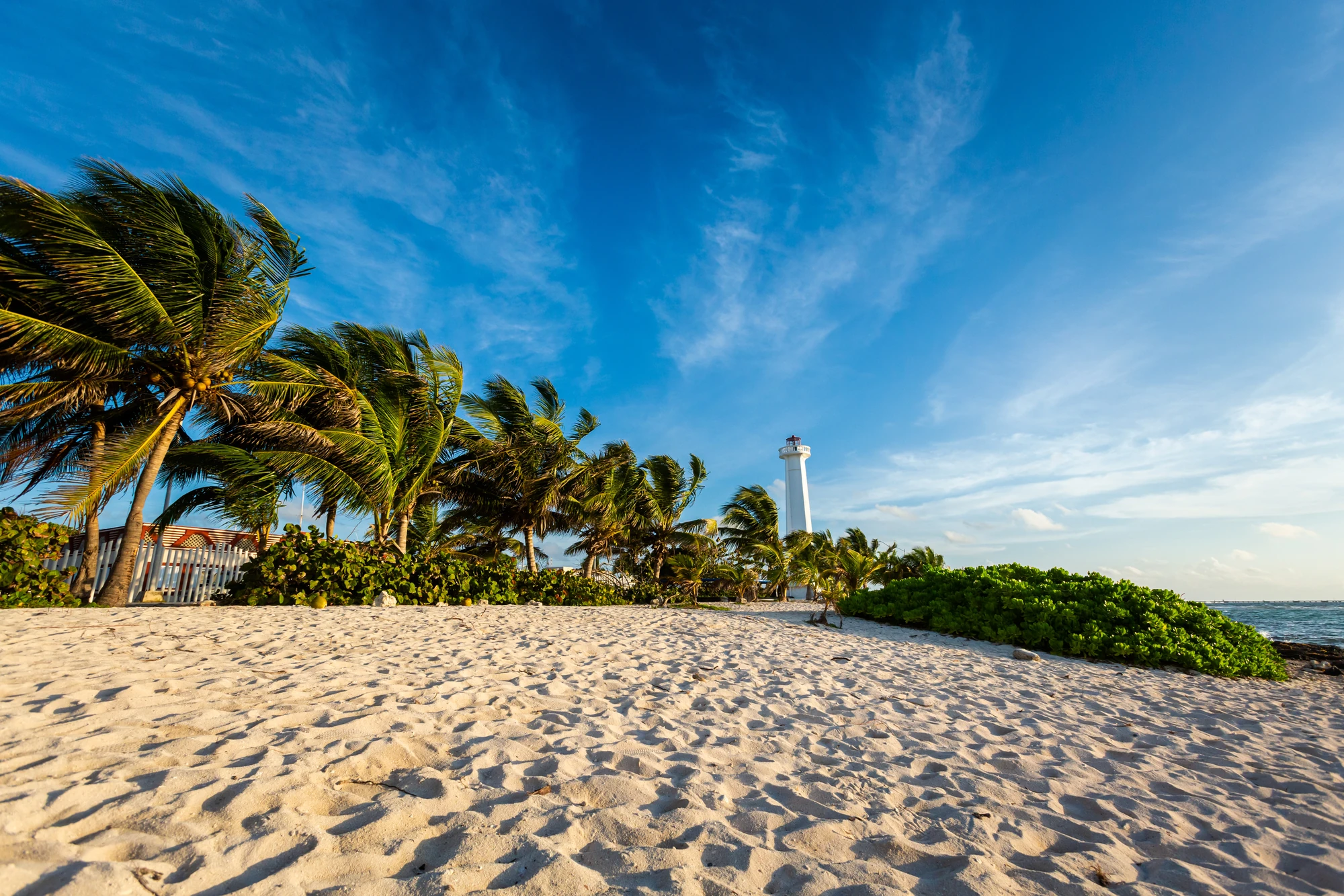 Sandstrand mit Leuchtturm und Palmen im Wind
