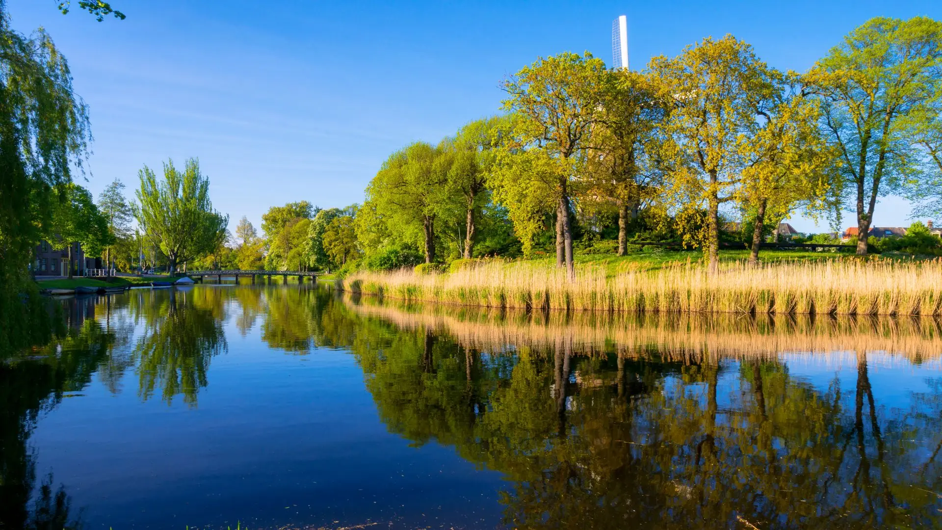 Ein ruhiger Fluss mit spiegelndem Wasser und grünen Bäumen im Frühling.