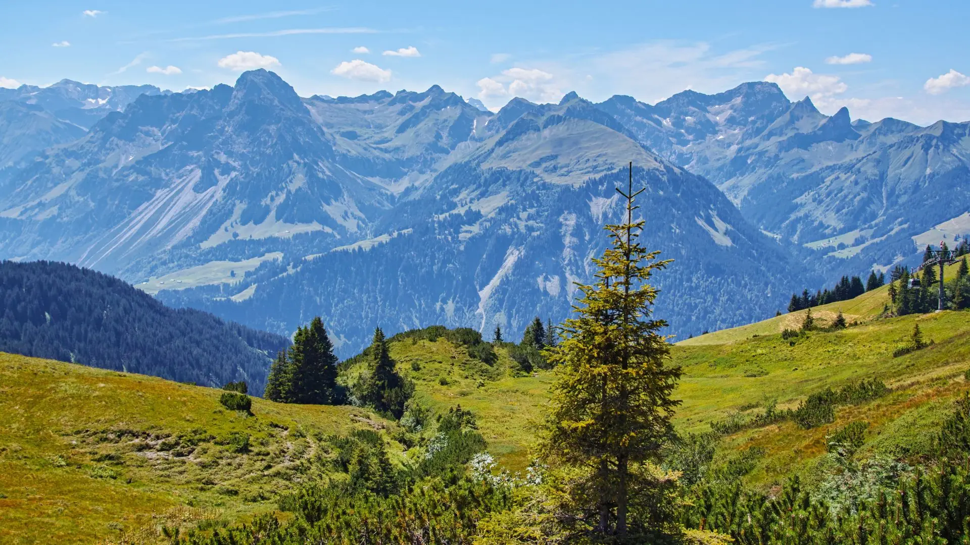 Blick auf die Alpen bei Schoppernau in Vorarlberg mit bewaldeten Hügeln und markanten Berggipfeln im Hintergrund