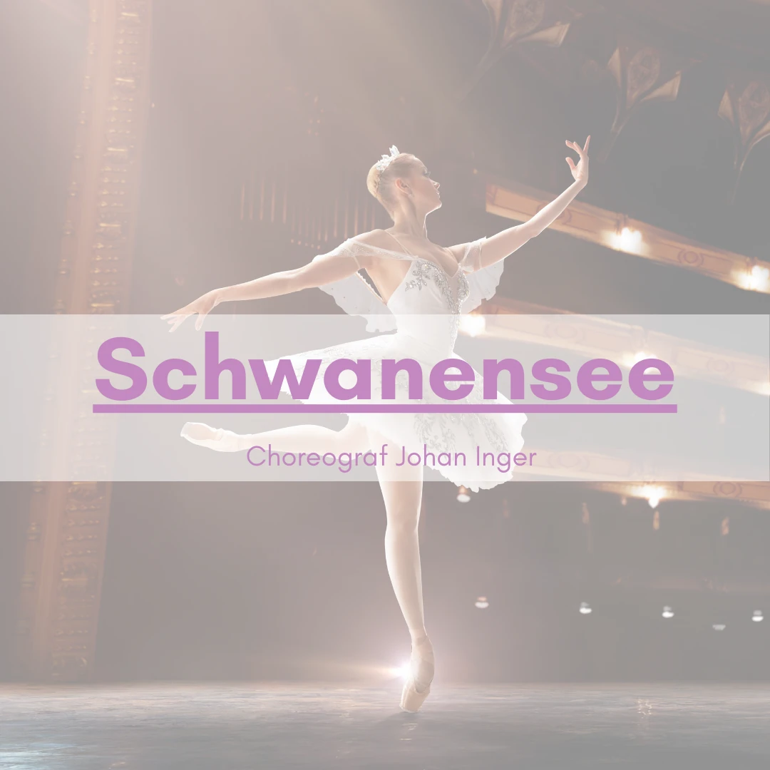 Ballett Schwanensee