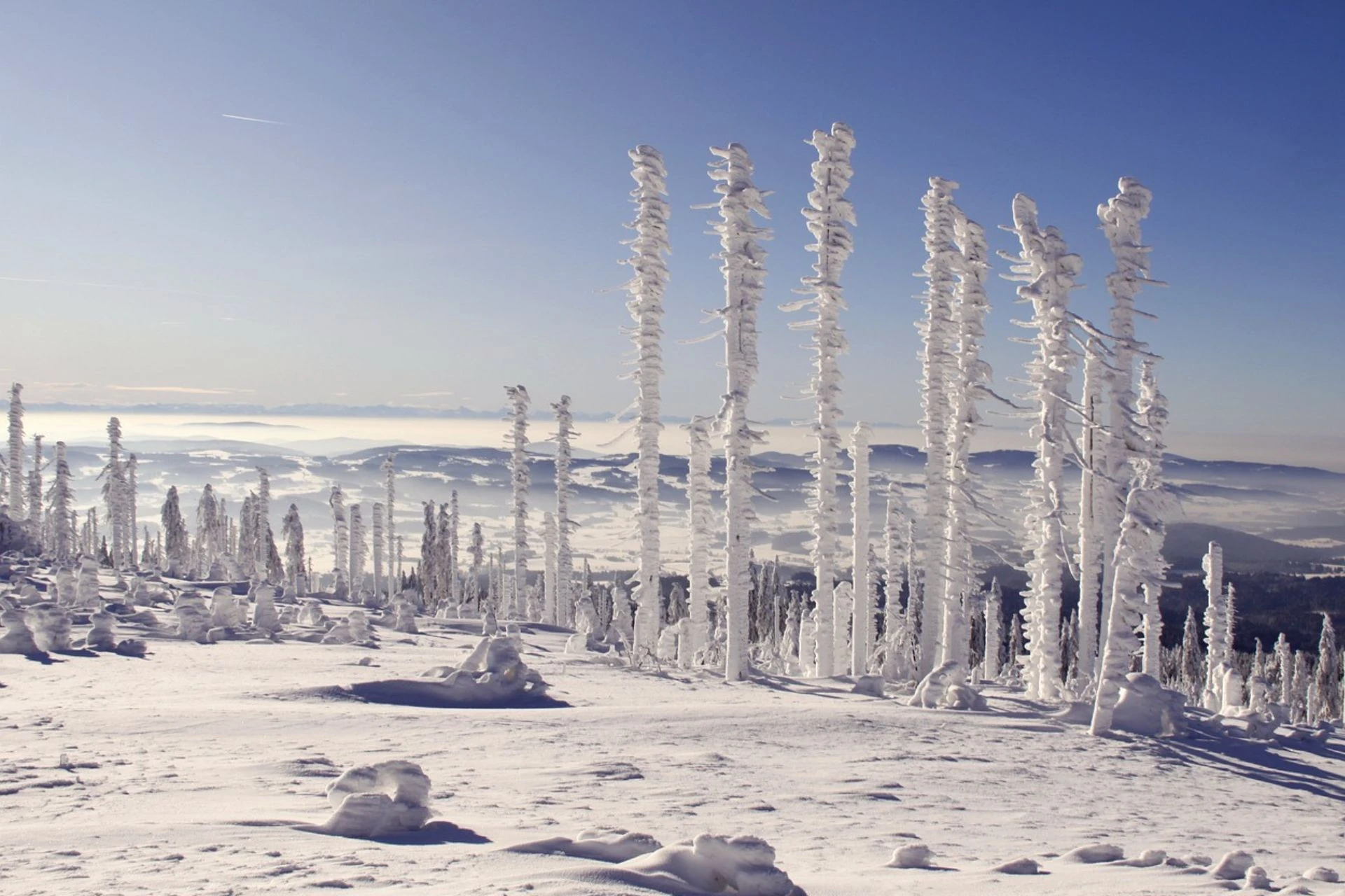 Panoramablick einer dicht zugeschneiten Landschaft im Bayerischen Wald