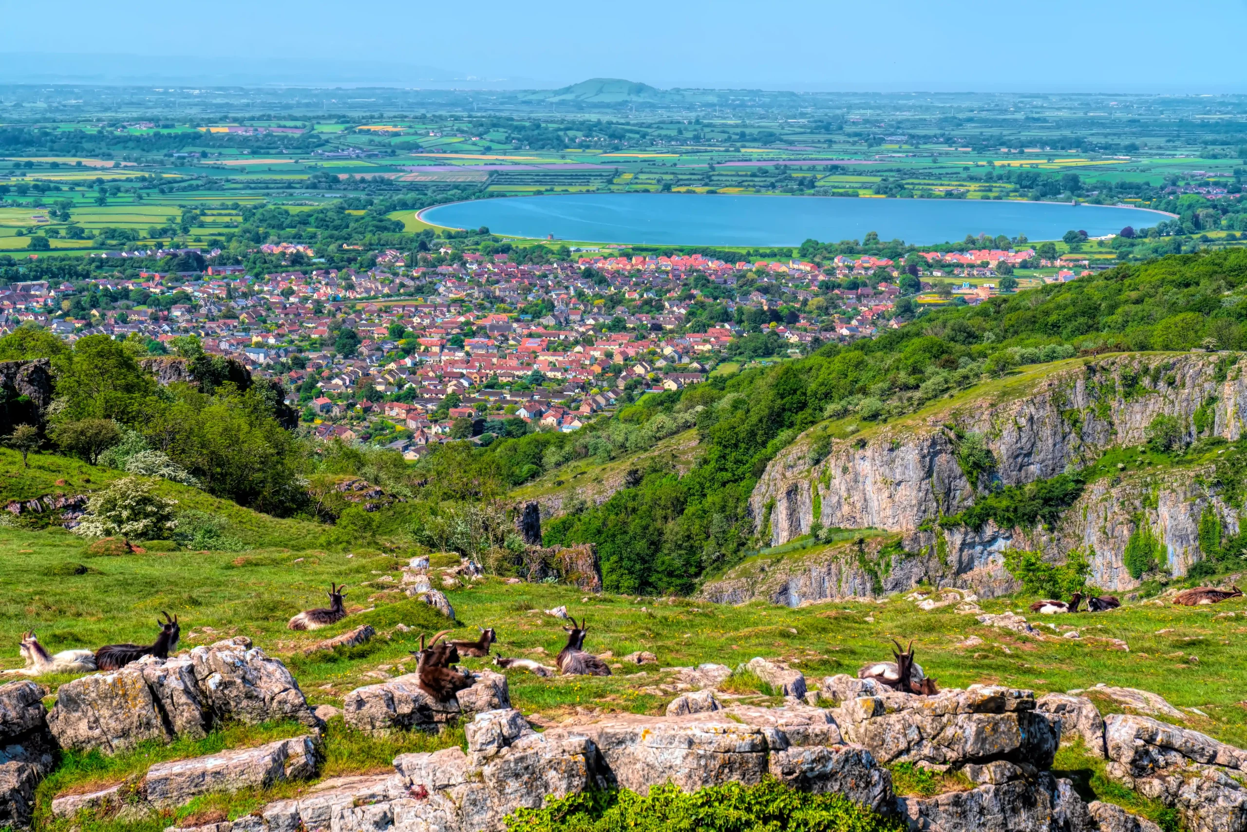Cheddar-Schlucht Blick mit wilden Ziegen in Richtung Cheddar-Stausee in Somerset