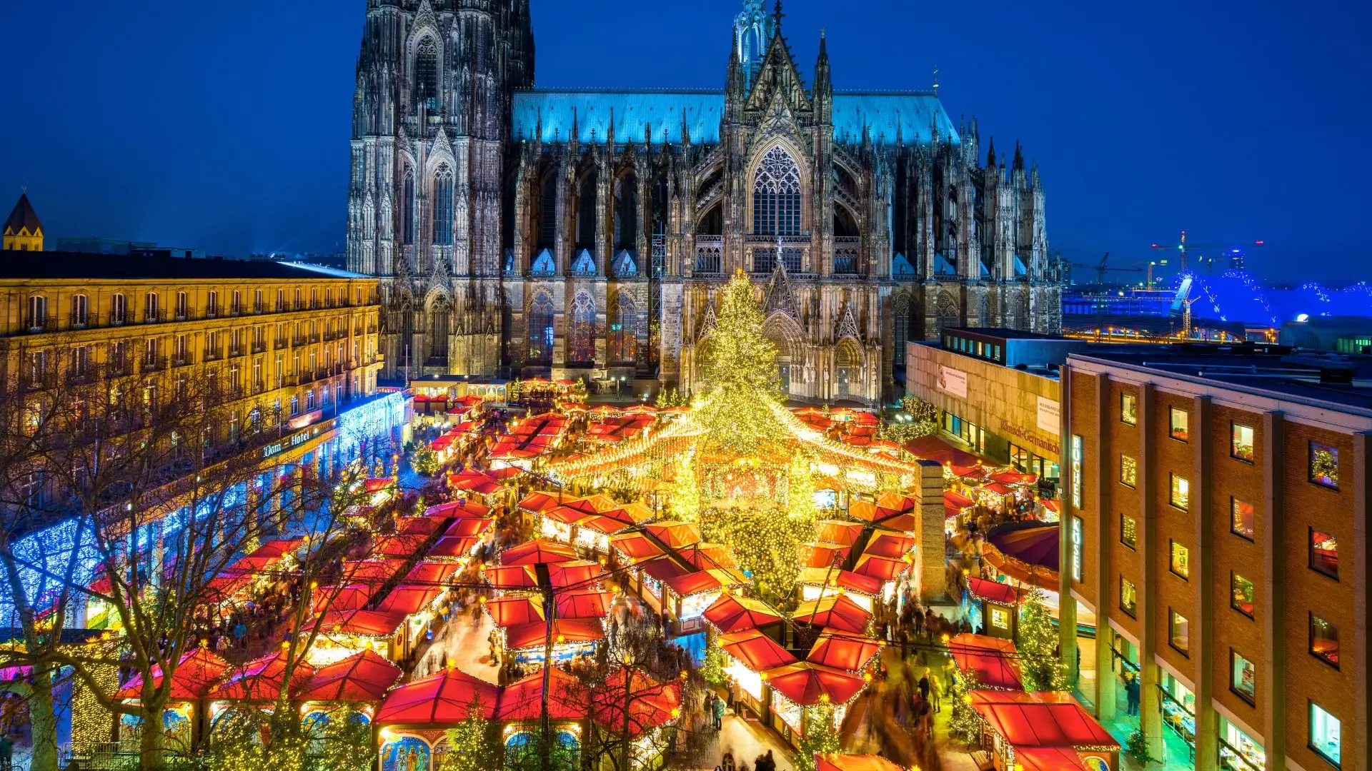 Weihnachtsmarkt mit roten Ständen und beleuchtetem Baum vor dem Kölner Dom bei Nacht