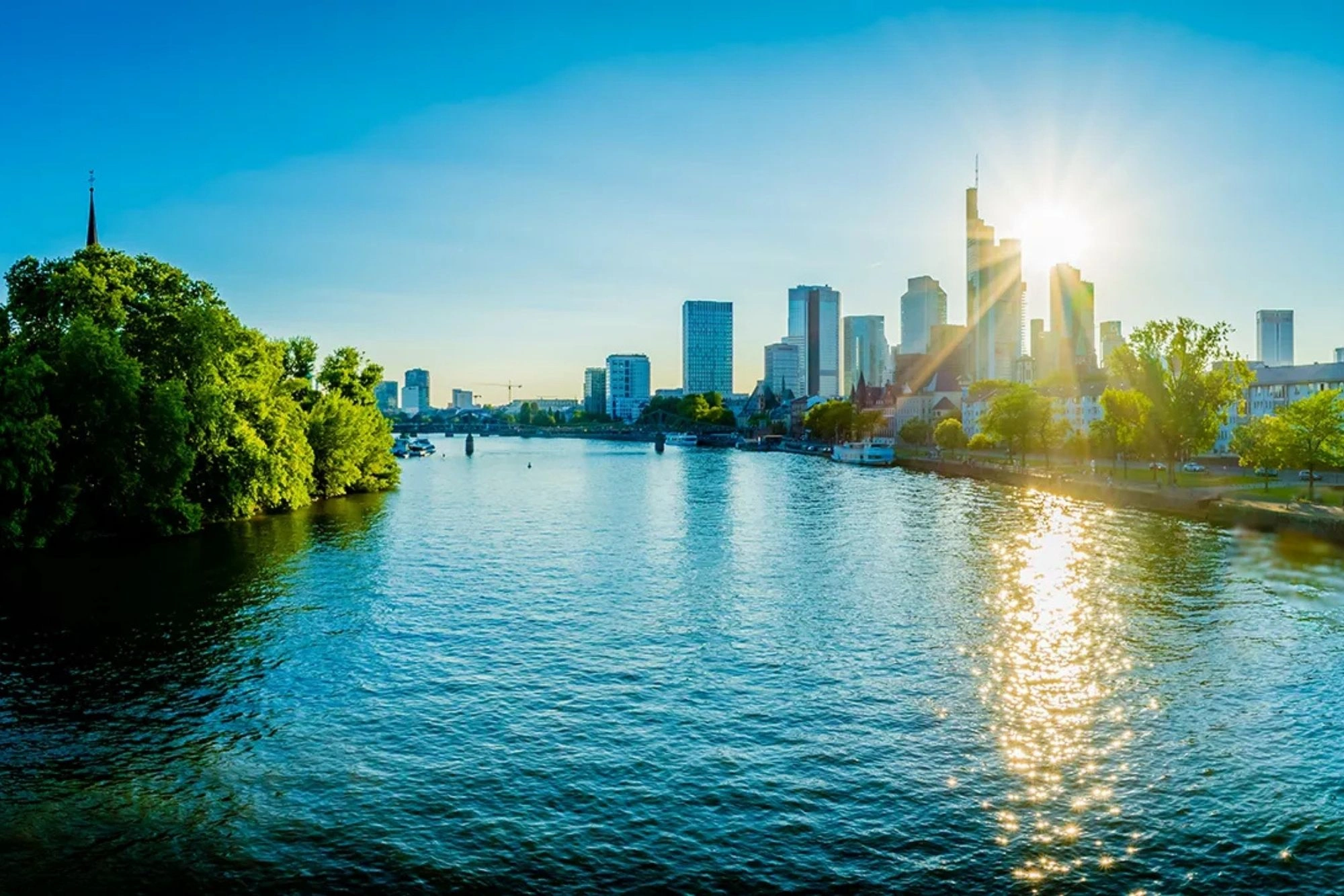 Blick von Main auf ein begrüntes Ufer mit Wohnhäusern in Frankfurt am Main
