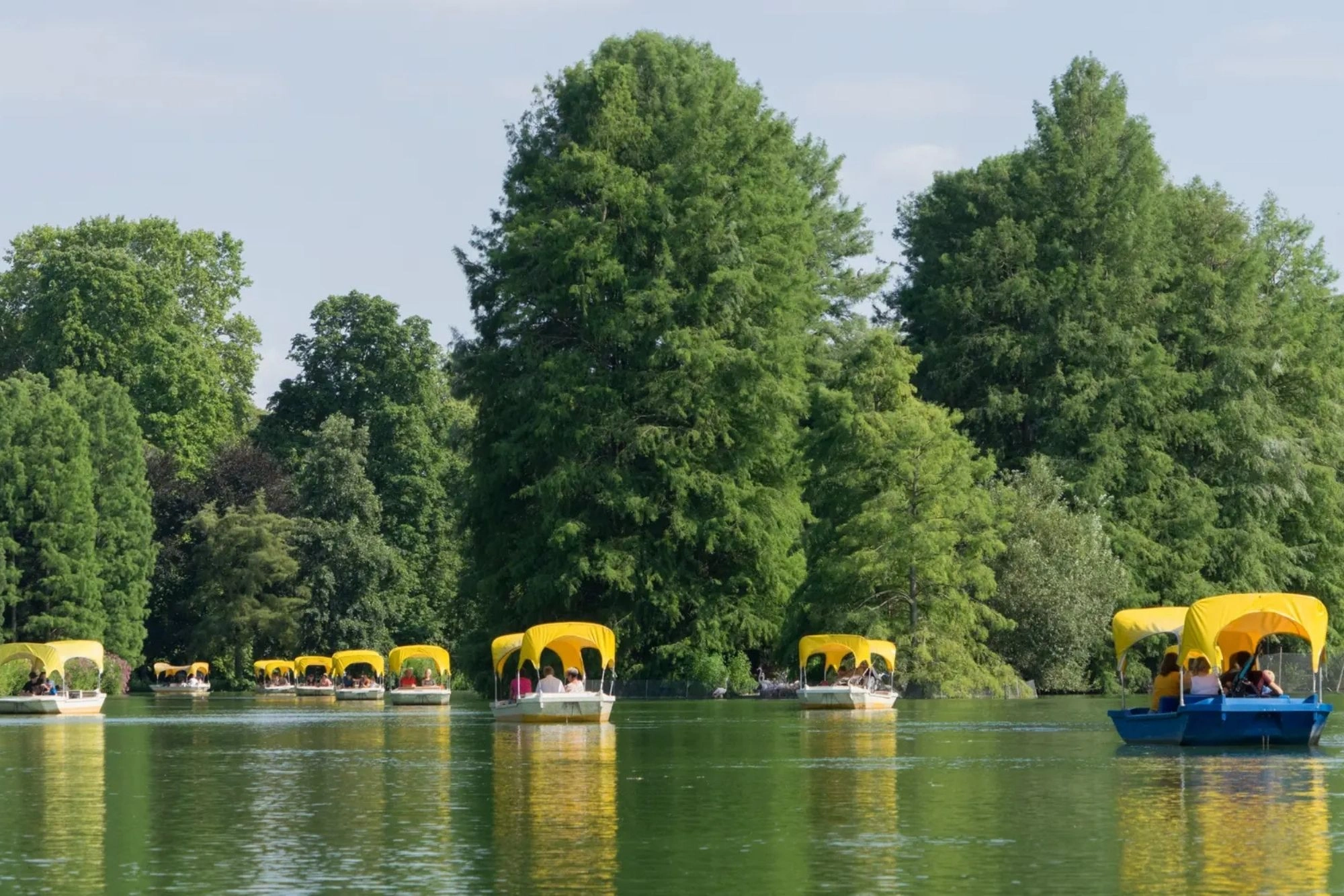 Entspannte Atmosphäre am See mit grünen Bäumen und gelben Booten.
