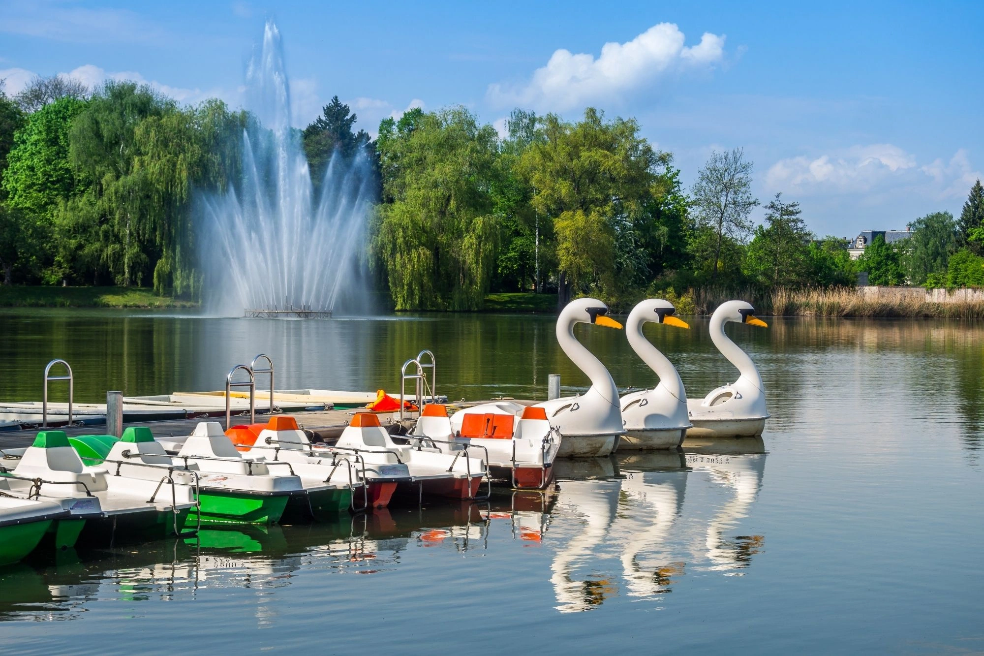 Drei weiße Tretboote in Schwanenform neben mehreren rechteckigen Tretbooten mit grünen und orangen Sitzen auf einem ruhigen See mit Springbrunnen und Bäumen im Hintergrund.