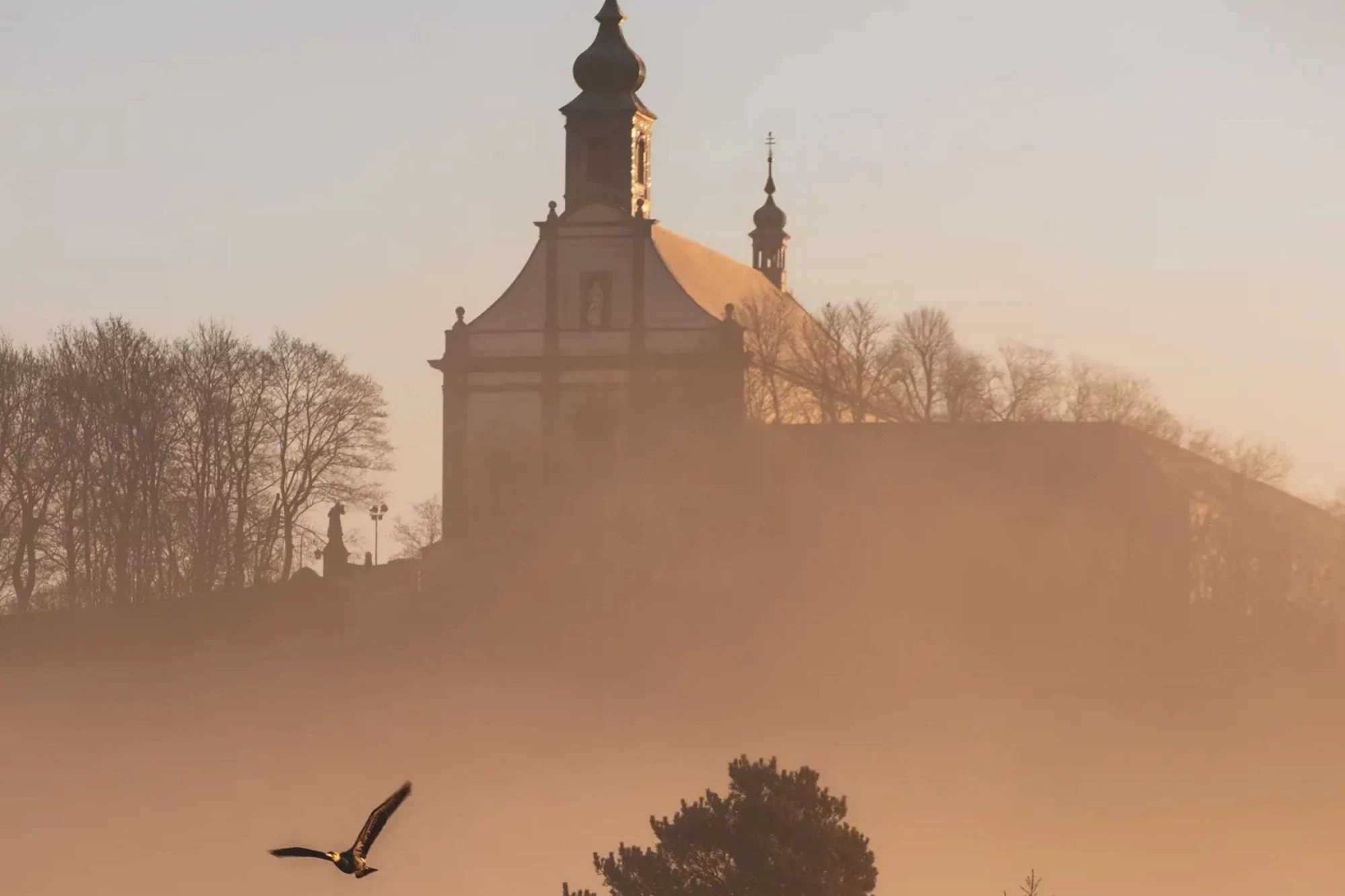 Kloster Frauenberg in Fulda bei Sonnenaufgang im Nebel auf einem Berg mit Bäumen und einem Vogel im Vordergrund