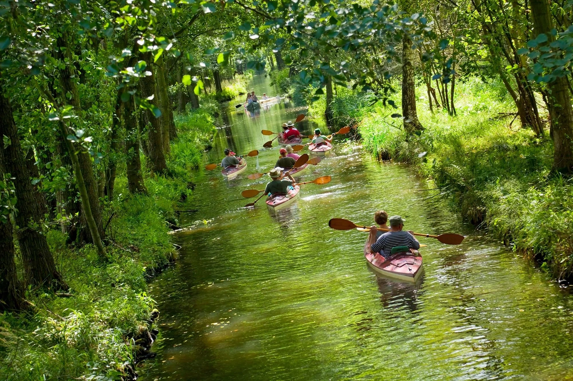 Kanufahrer auf einem Kanal im Spreewald im Frühling