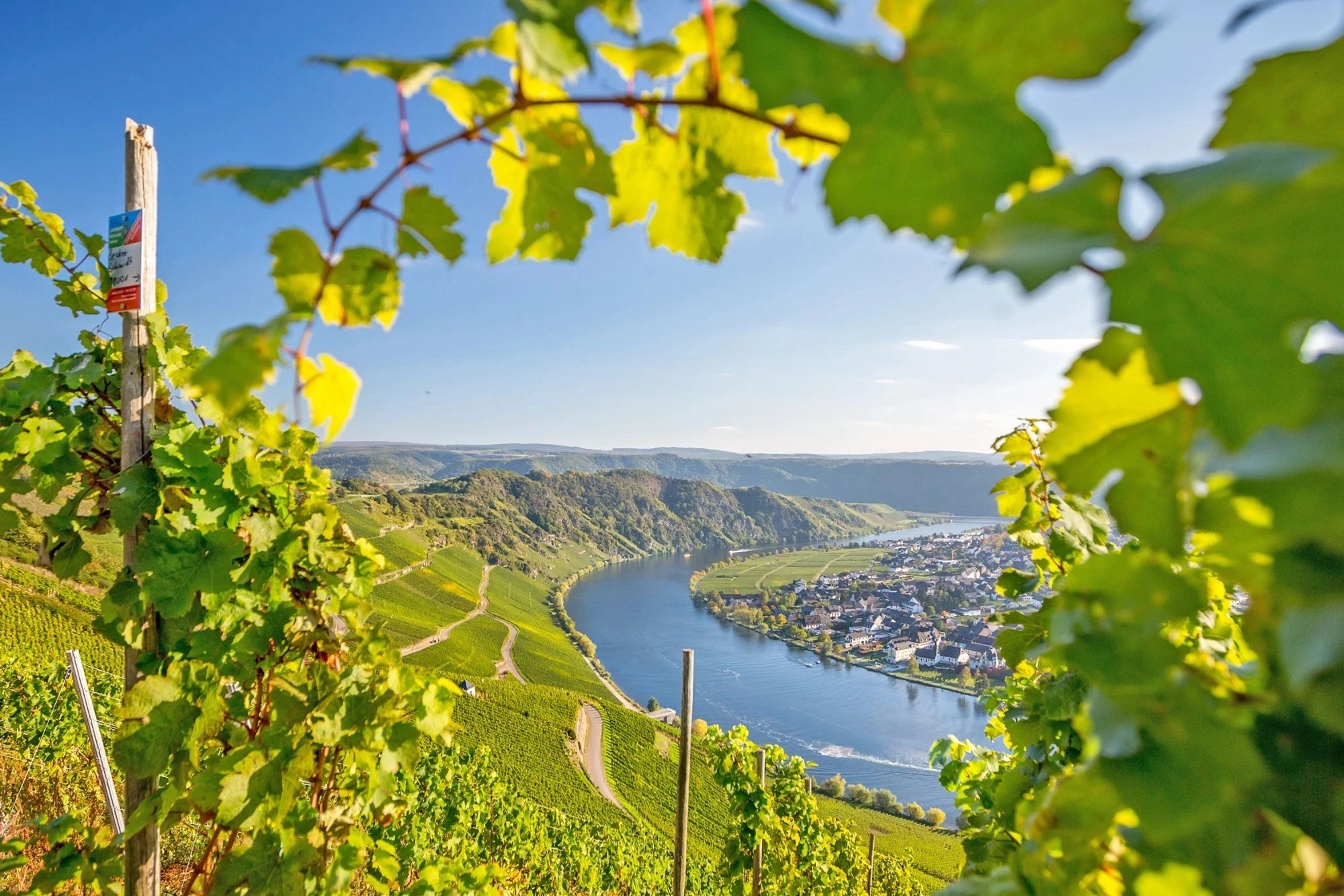 Mosel Panorama umrandet von mit Weinbergen