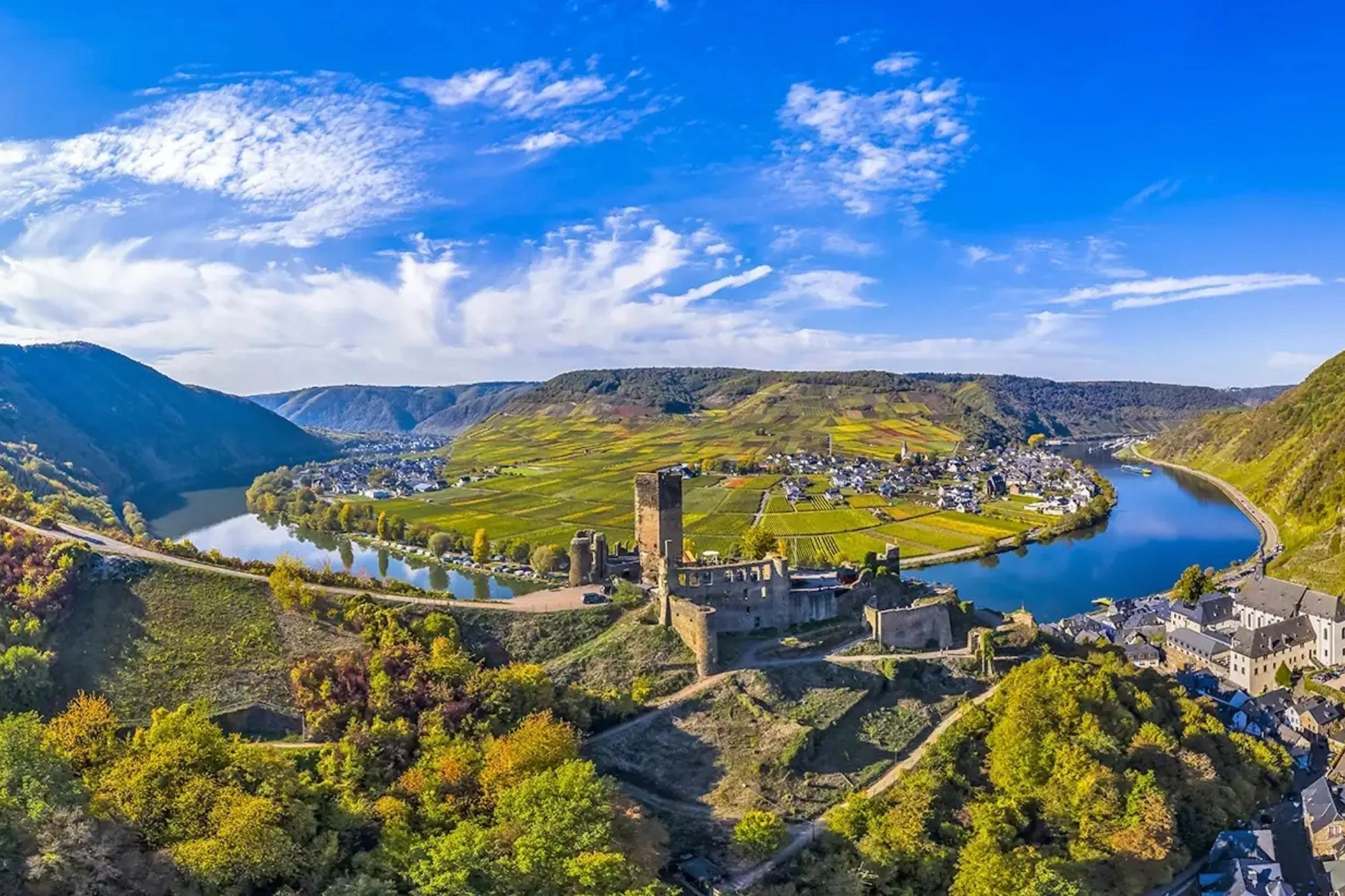 Mosel-Panorama mit Schloss Metternich und Weinbergen