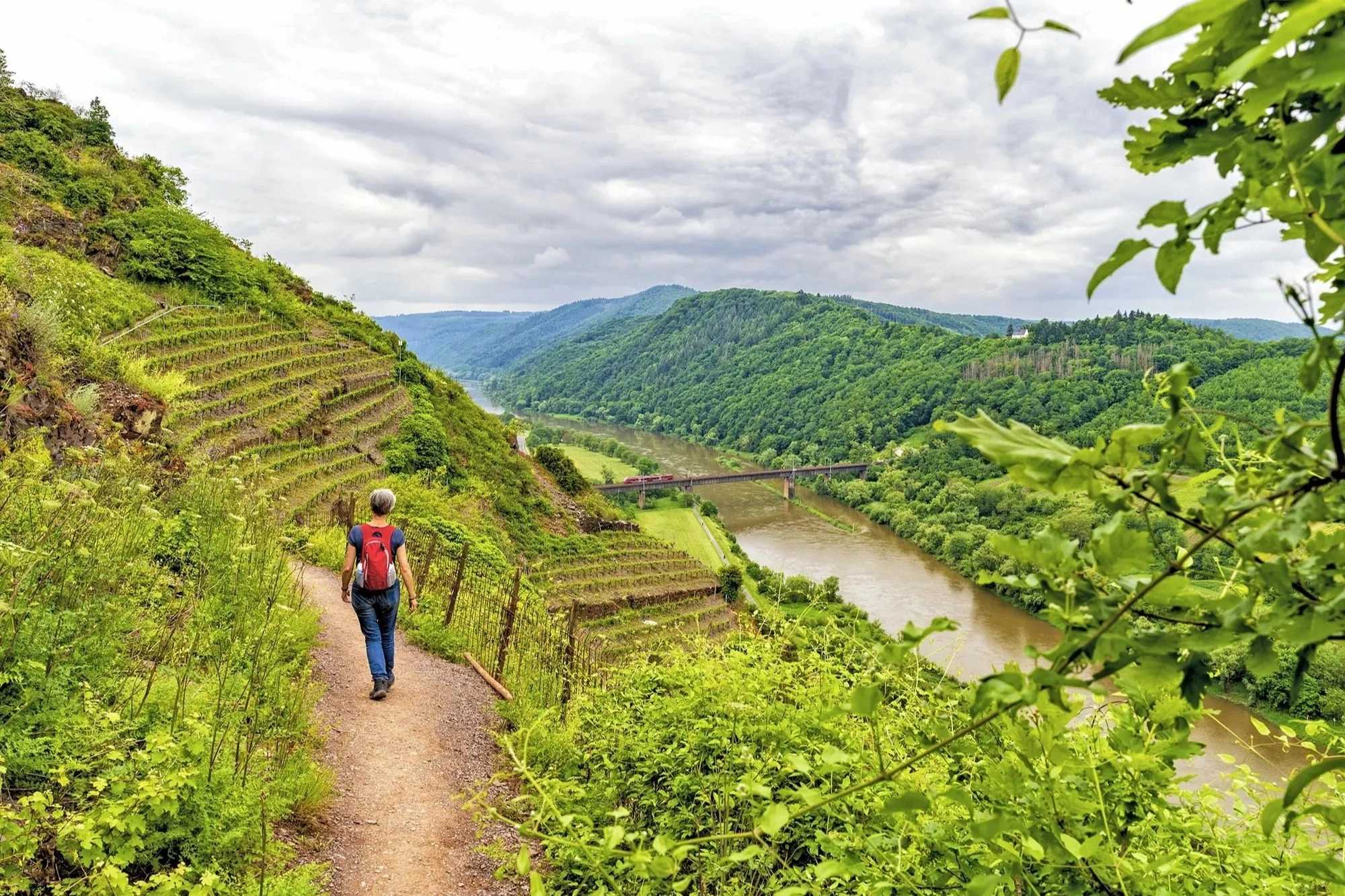Frau beim Wandern von Bremm nach Ediger-Ellig während Mosel Urlaub