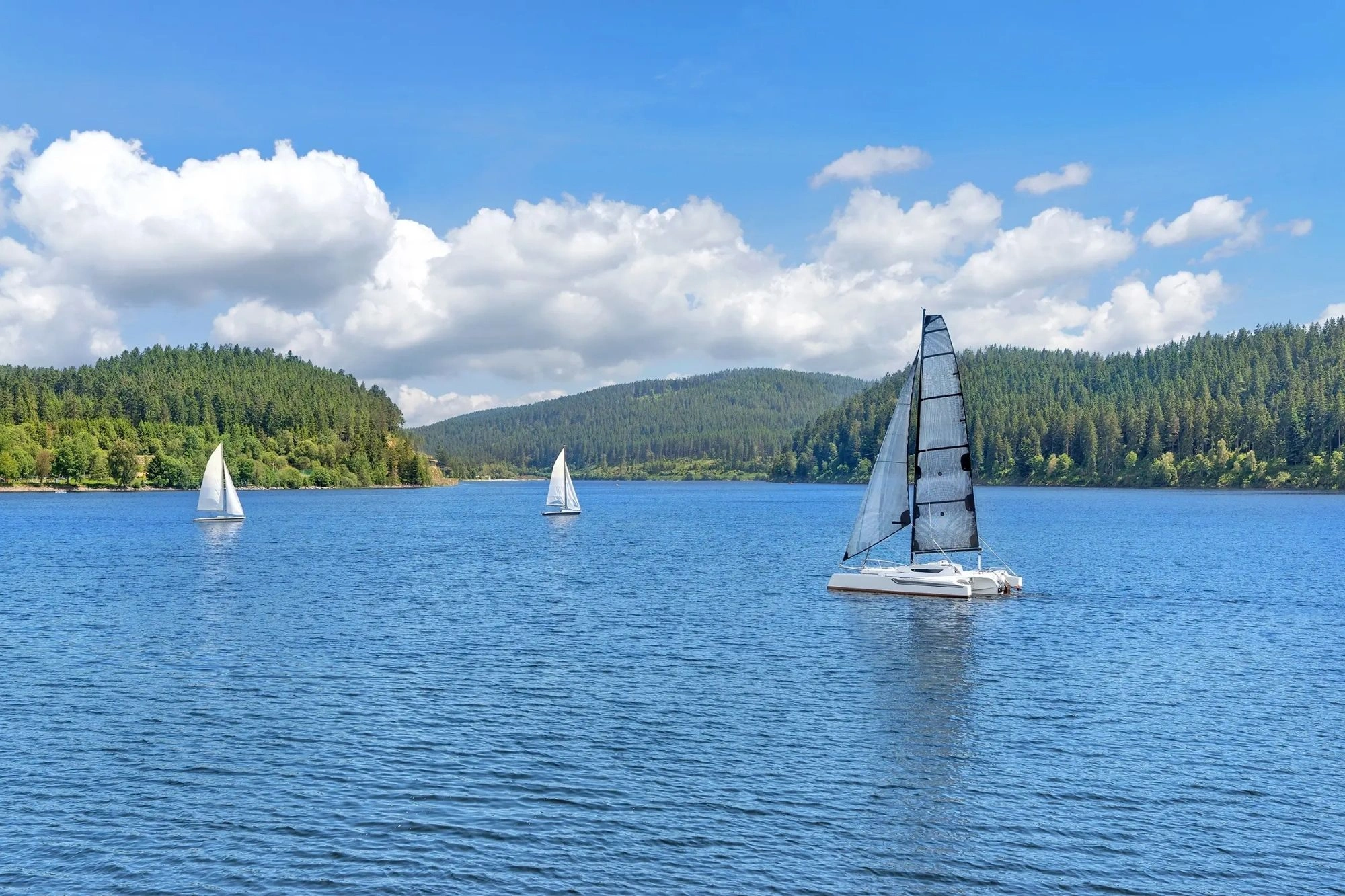 See mit Segelbooten auf dem Schluchsee im Schwarzwald Urlaub