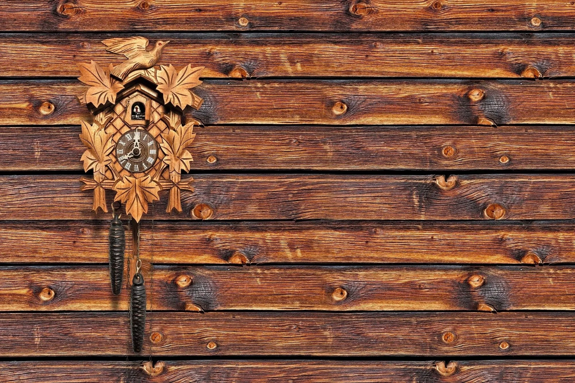 Schwarzwälder Kuckucksuhr auf Holzwand im Schwarzwald