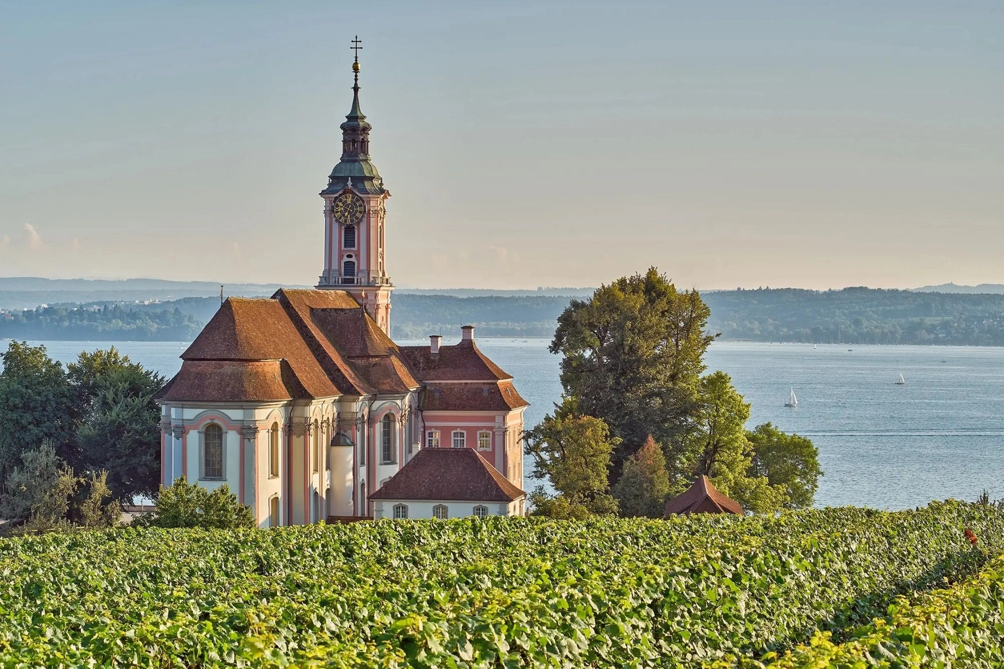 Blick auf die Basilika Birnau am Bodensee im Spätsommer