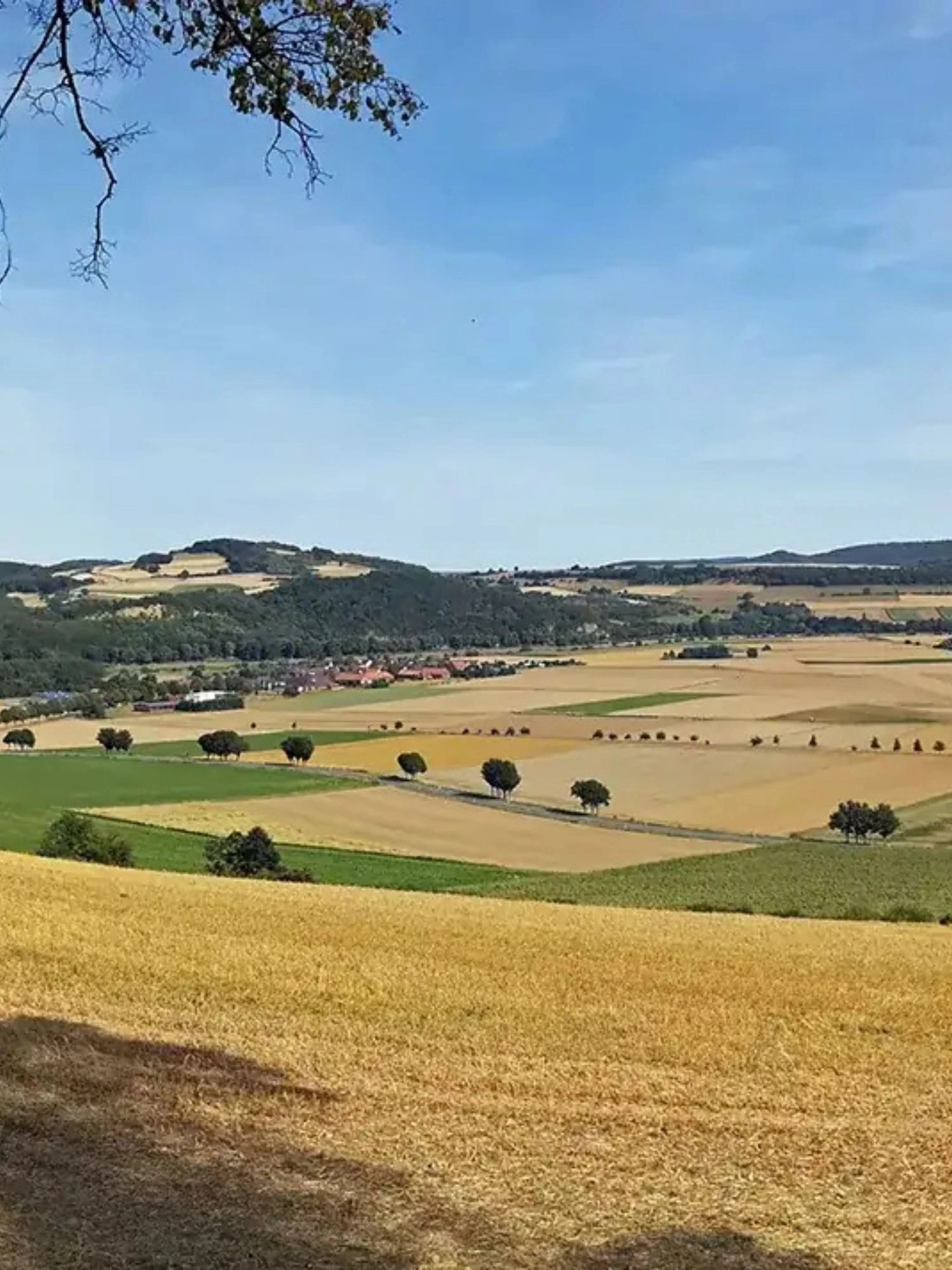 Panoramablick über die Felder im Weserbergland beim Besuch vom romantischen Hotel Menzhausen