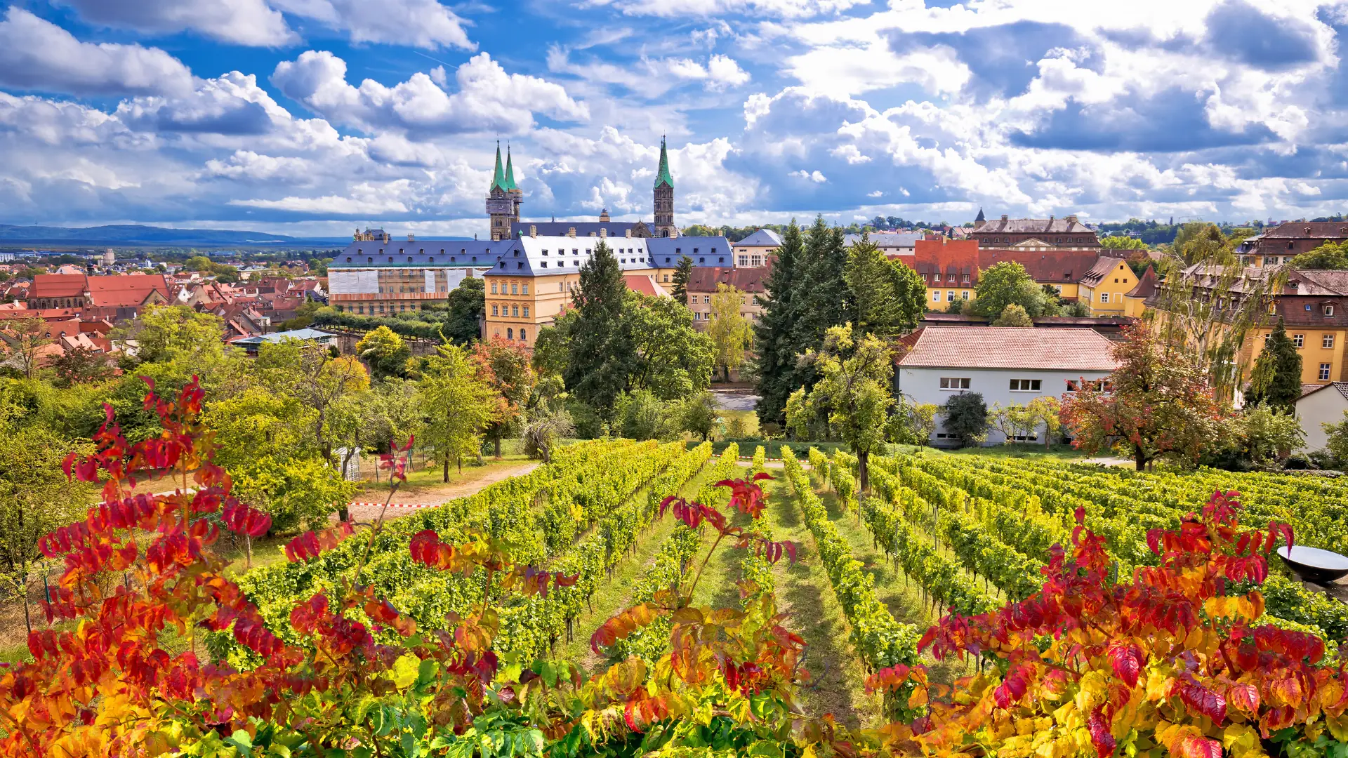 Blick auf die Stadt Bamberg von den Weinbergen des Michaelsbergs zum Bamberger Dom.
