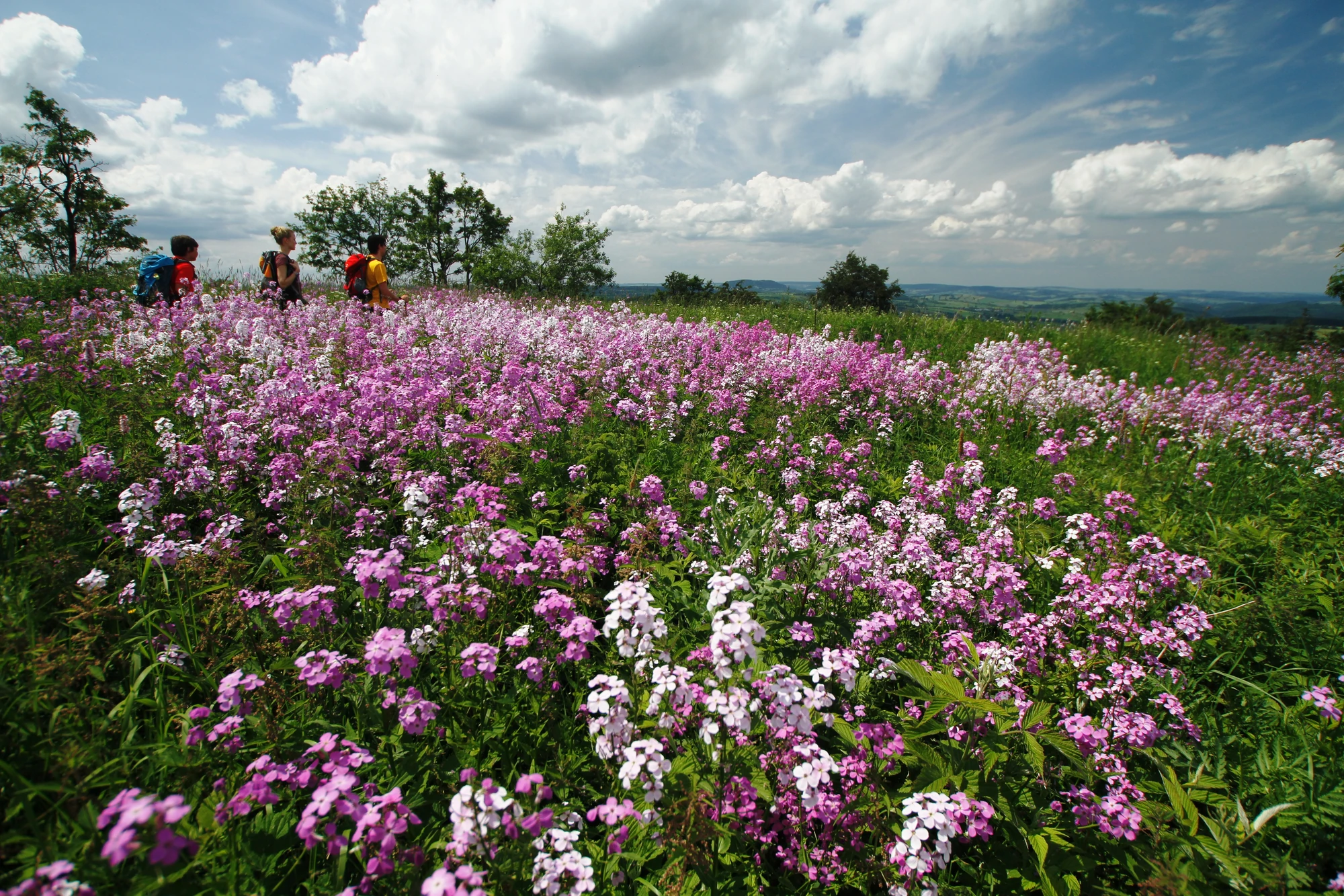 Erzgebirge Sehenswürdigkeiten Naturpark Eine junge Familie wandert durch die Natur