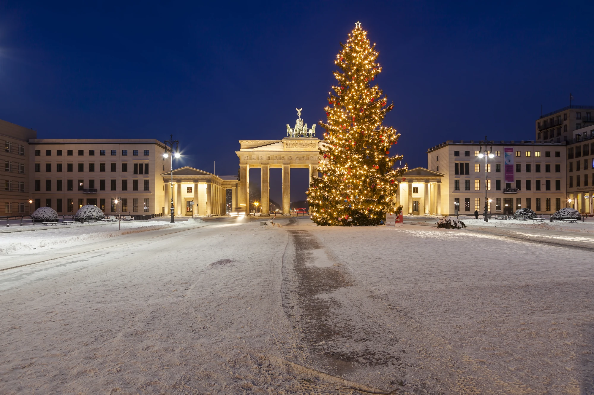 Brandenburger Tor mit großem Weihnachtsbaum im Winter
