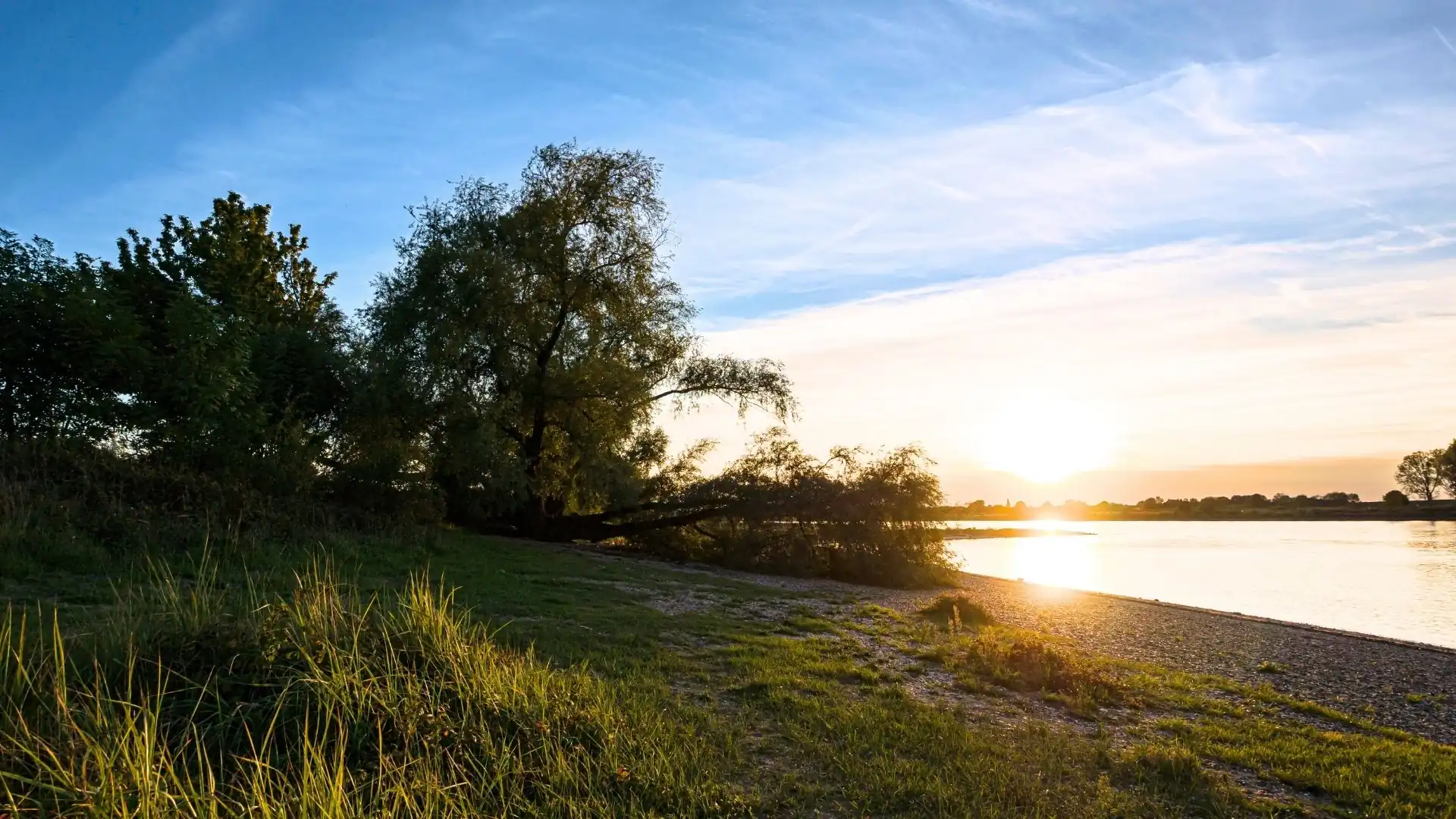 Flussufer mit Bäumen und Gras im Vordergrund bei Sonnenuntergang über dem Wasser in Monheim am Rhein