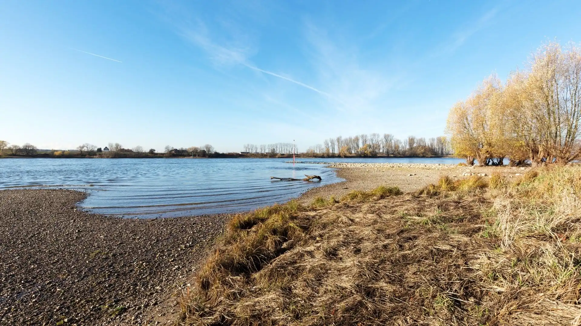 Uferbereich eines ruhigen Flusses mit Kiesstrand, kahlen Bäumen und trockenem Gras unter blauem Himmel in Monheim am Rhein