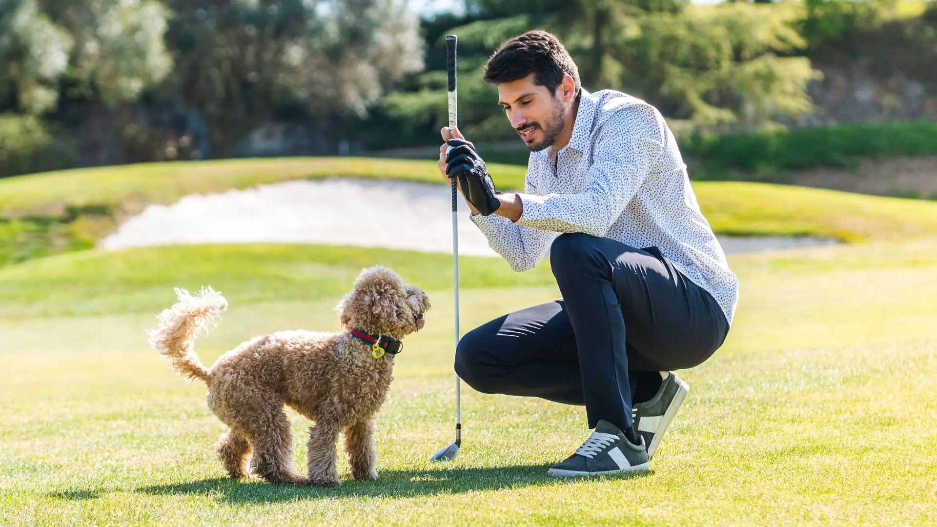 Mann kniet auf Golfplatz und hält Golfschläger und Golfball vor kleinen lockigen Hund