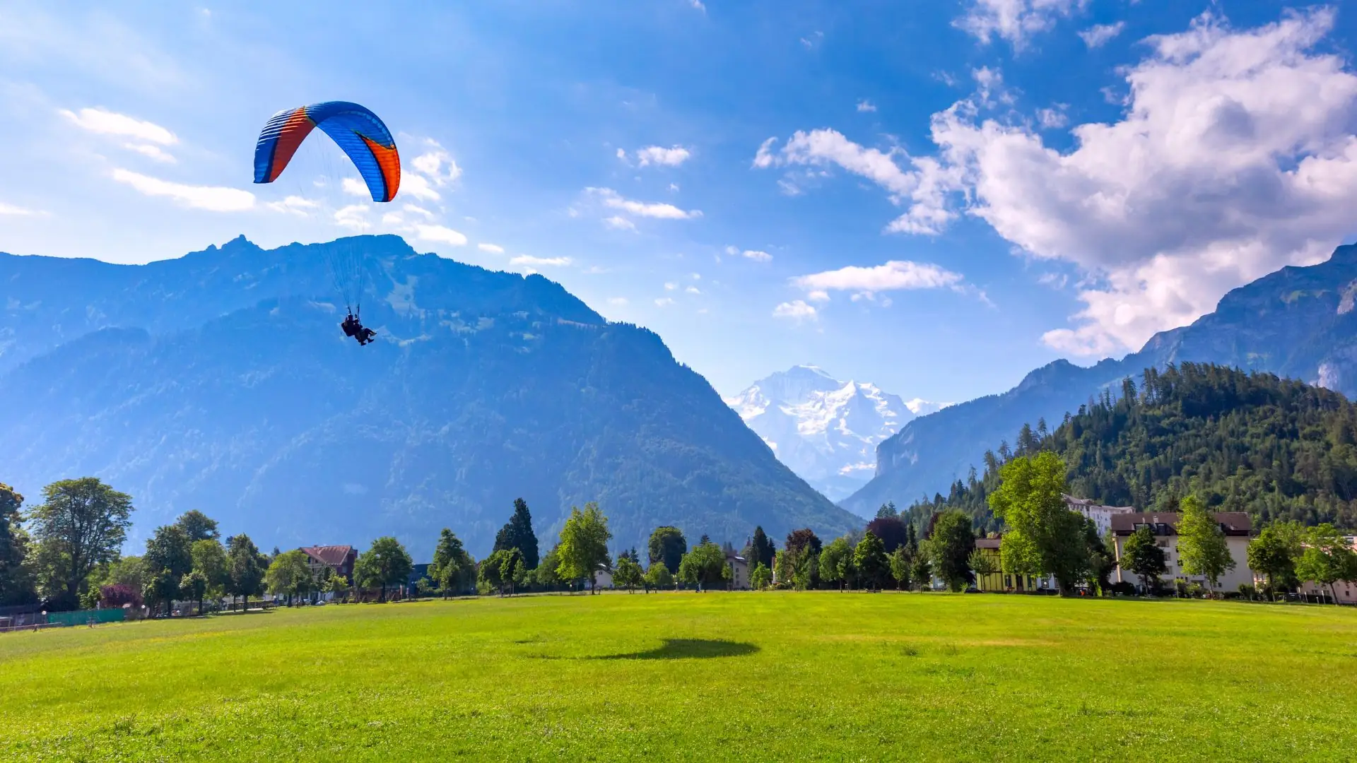 Paraglider mit blau-rotem Schirm über grünem Feld vor Bergkulisse und blauem Himmel mit Wolken in Interlaken.