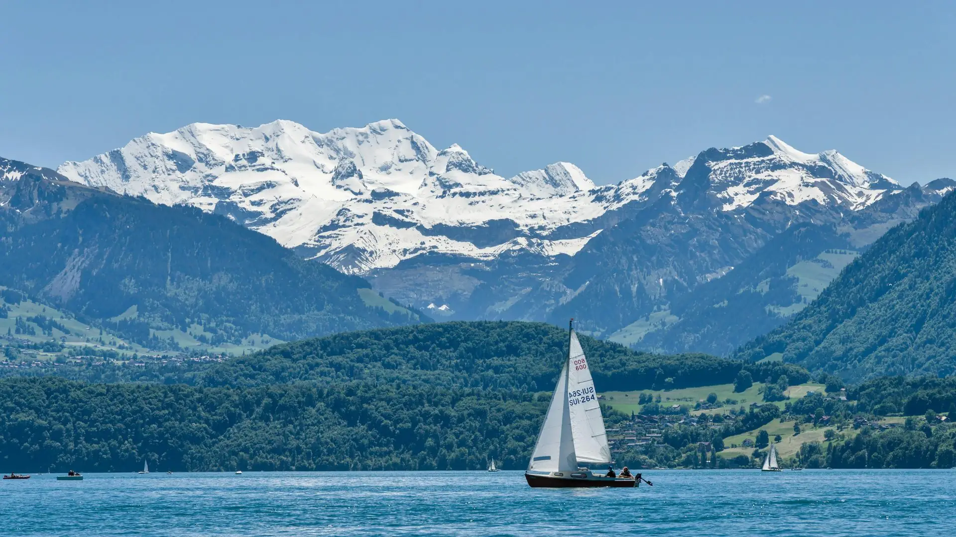 Segelboot auf blauem See vor bewaldetem Hügel und schneebedeckten Bergen unter klarem Himmel in Interlaken.
