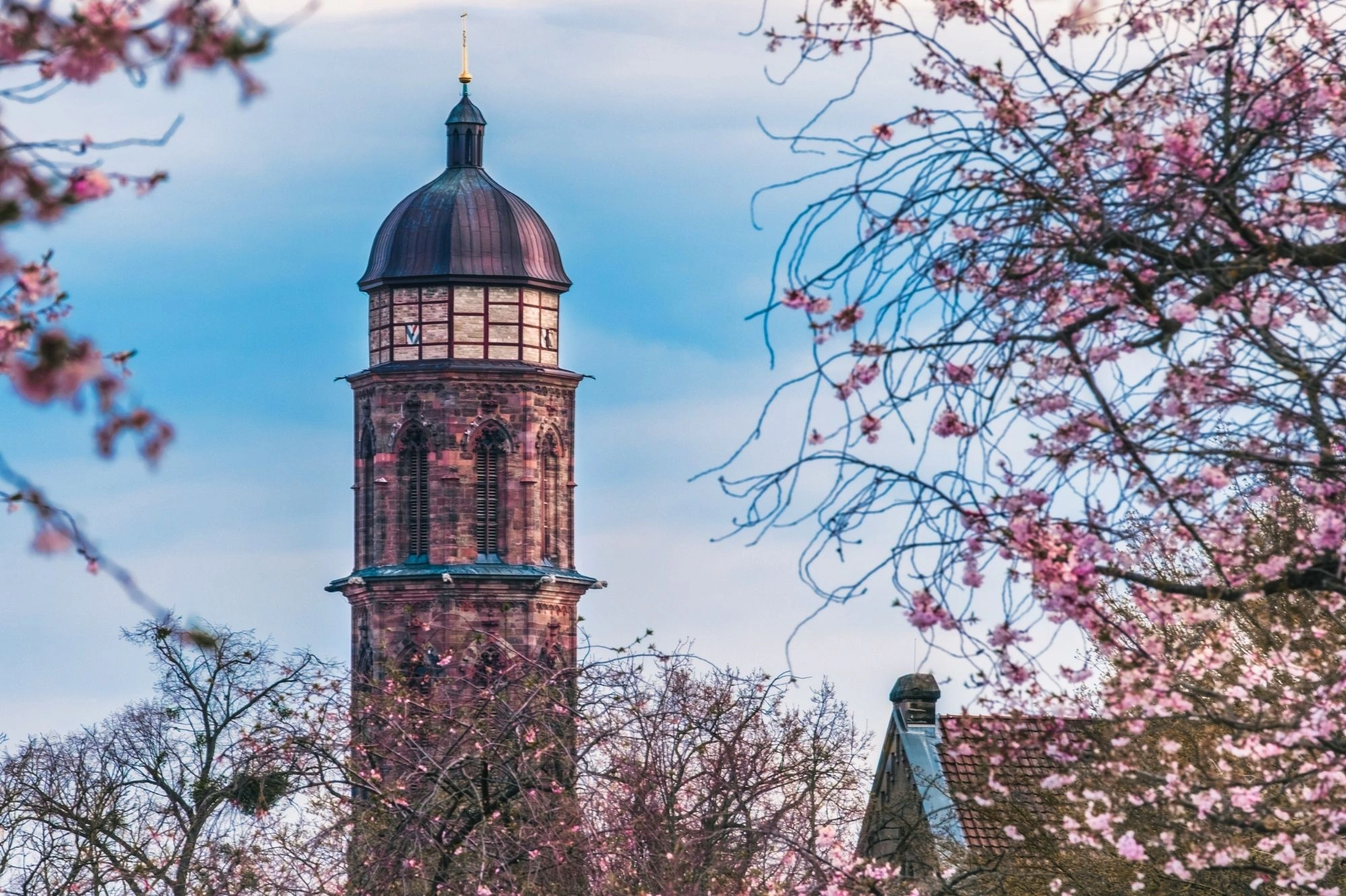 Alter runder Wasserturm mit kupferner Kuppel, umgeben von blühenden Kirschbaumzweigen im Frühling.