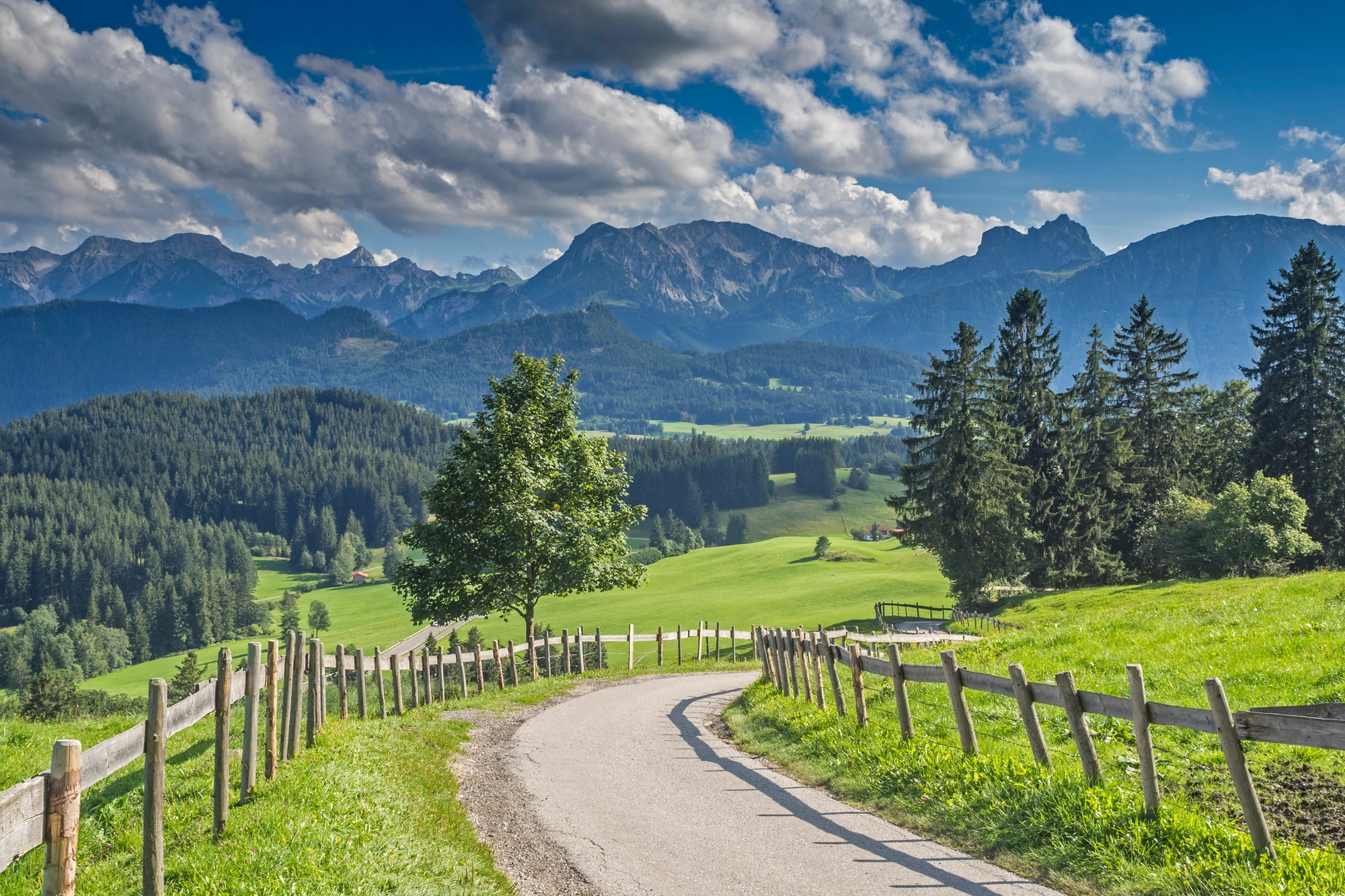 Das Bild zeigt eine idyllische Landschaft in der Region Kempten im Allgäu. Ein geschwungener Weg führt durch eine weite, grüne Wiese, umgeben von dichtem Baumbestand und den majestätischen Alpen im Hintergrund. Die Szene wird von dramatischen Wolken und intensivem Sonnenlicht begleitet, was der Naturkulisse eine ruhige und malerische Atmosphäre verleiht.