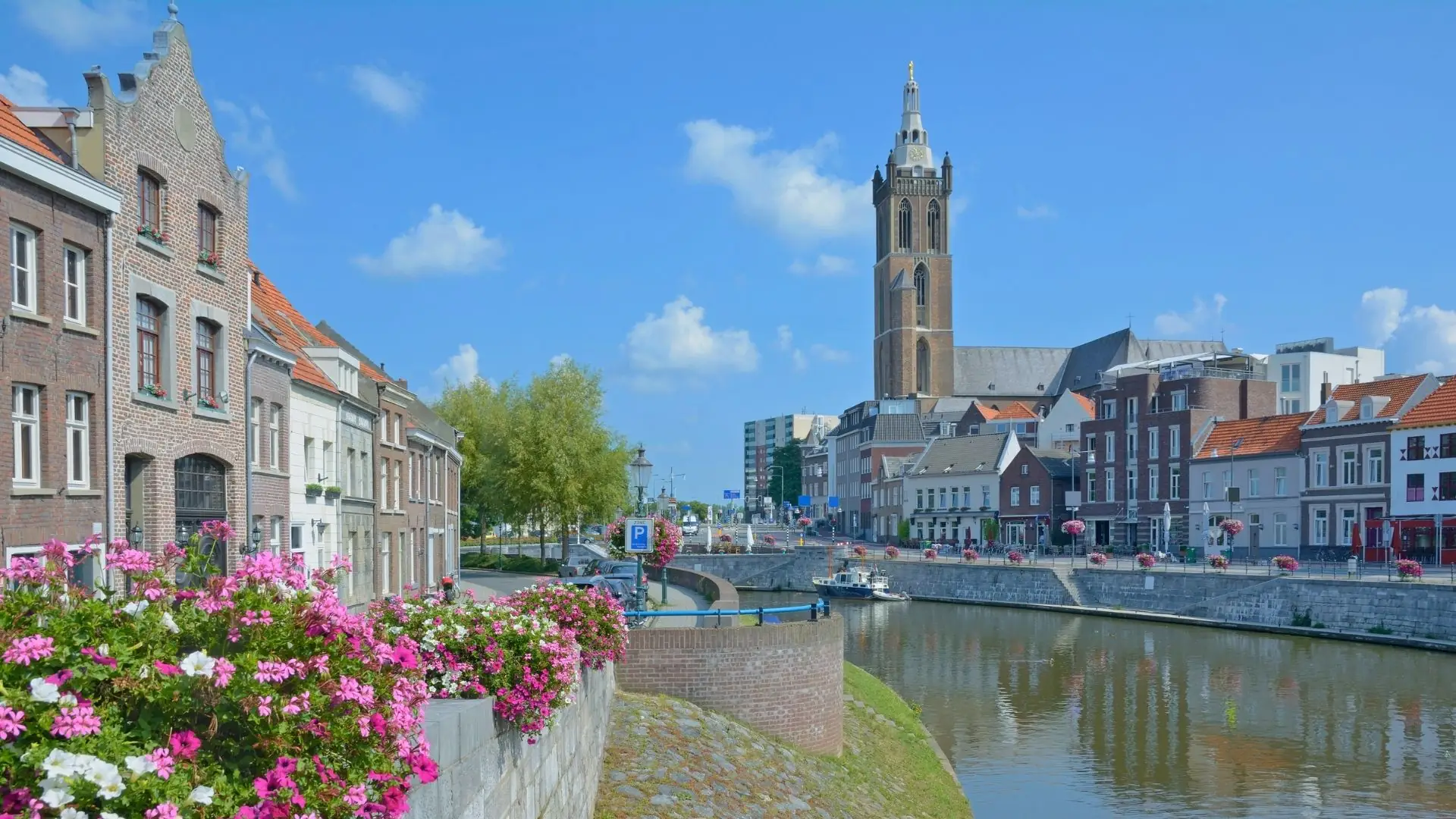 Blick auf die Altstadt von Limburg mit dem Fluss, blühenden Blumen am Ufer und dem hohen Turm des Doms im Hintergrund.