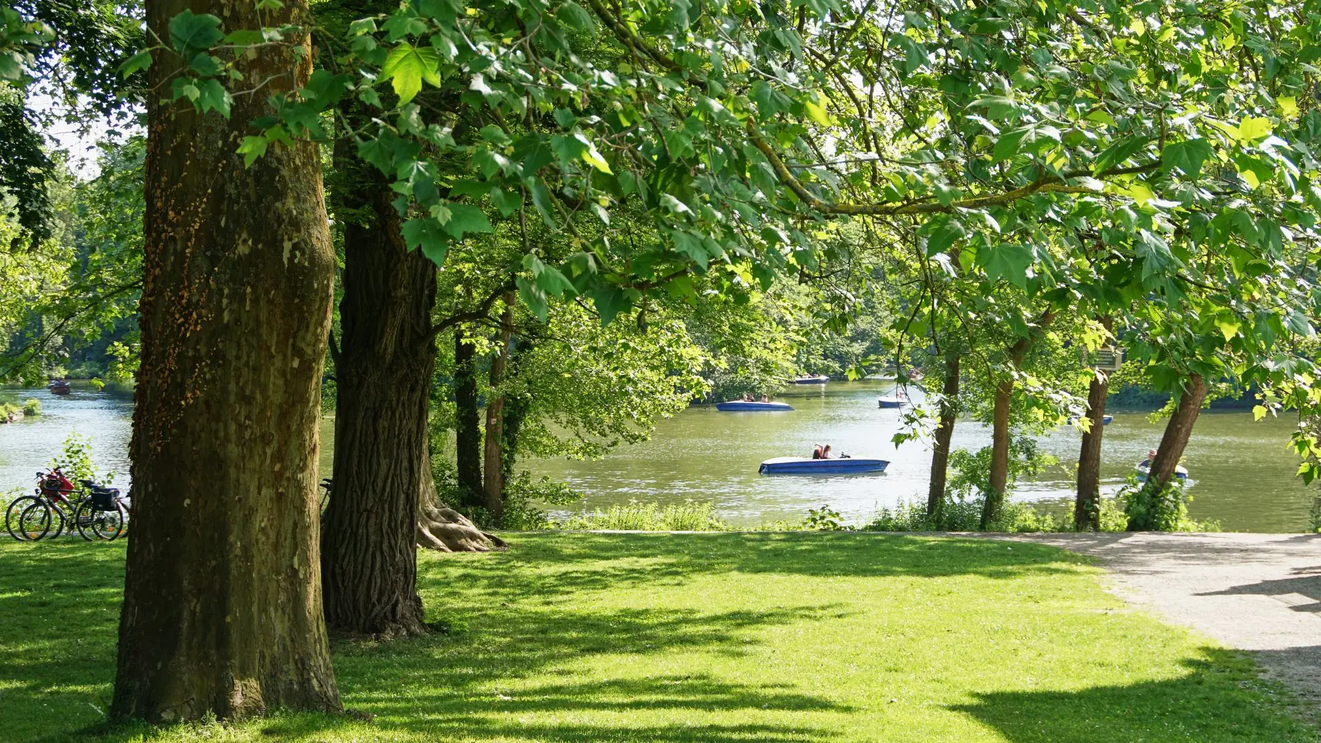 Blick auf den Monrepos-See in Ludwigsburg mit grüner Wiese, Bäumen am Ufer und mehreren Ruderbooten auf dem Wasser