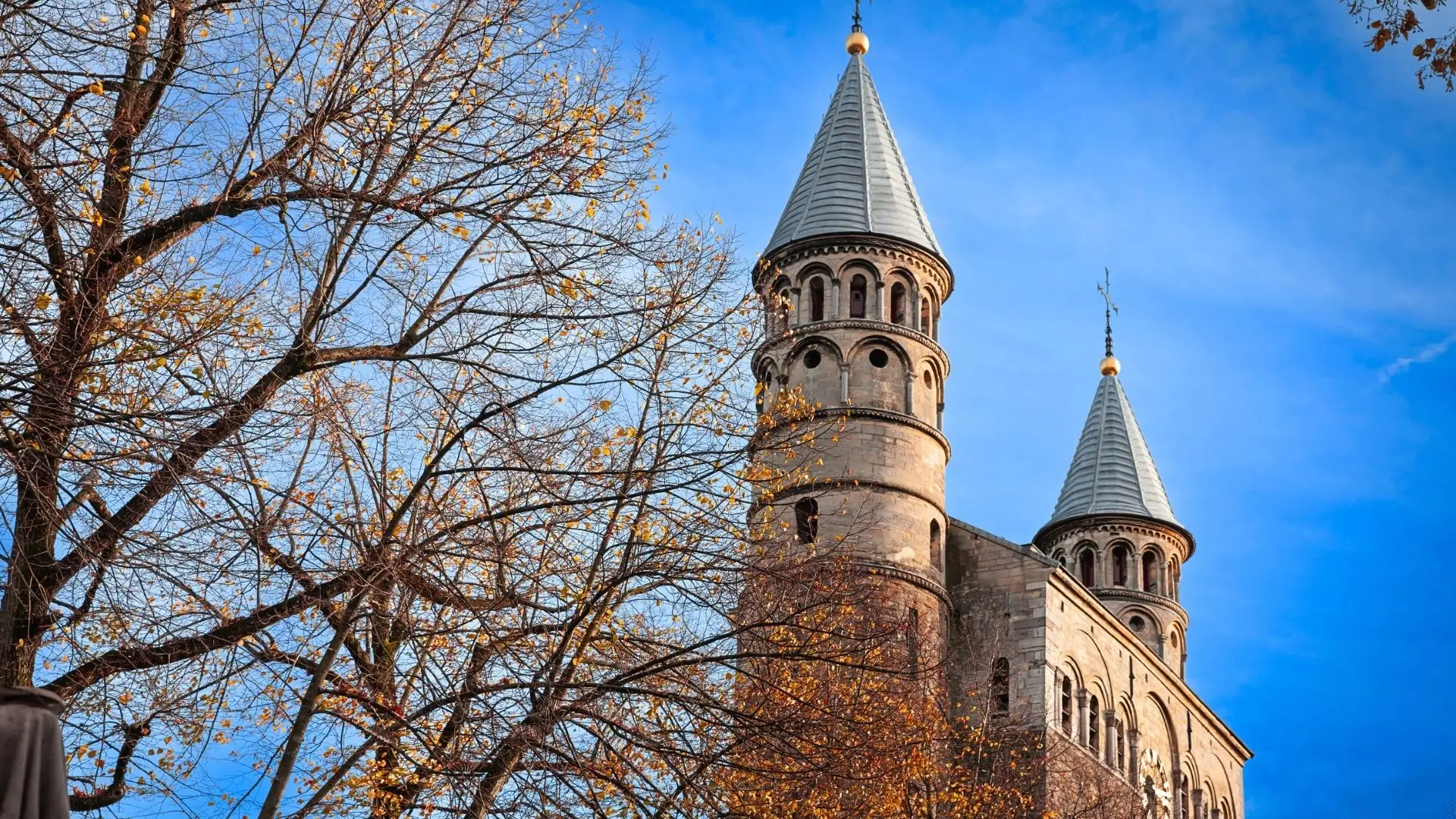 Zwei runde Türme der Liebfrauenbasilika Maastricht mit spitzen Dächern, davor ein Baum mit herbstlichen Blättern vor blauem Himmel.