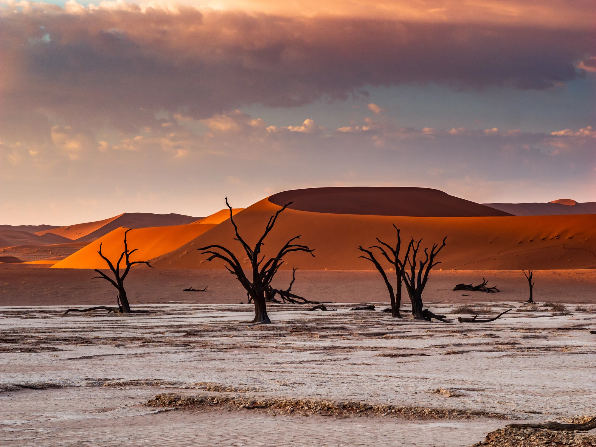 Tote Bäume auf ausgetrocknetem Boden vor großen Sanddünen unter bewölktem Himmel in der Namib-Wüste.