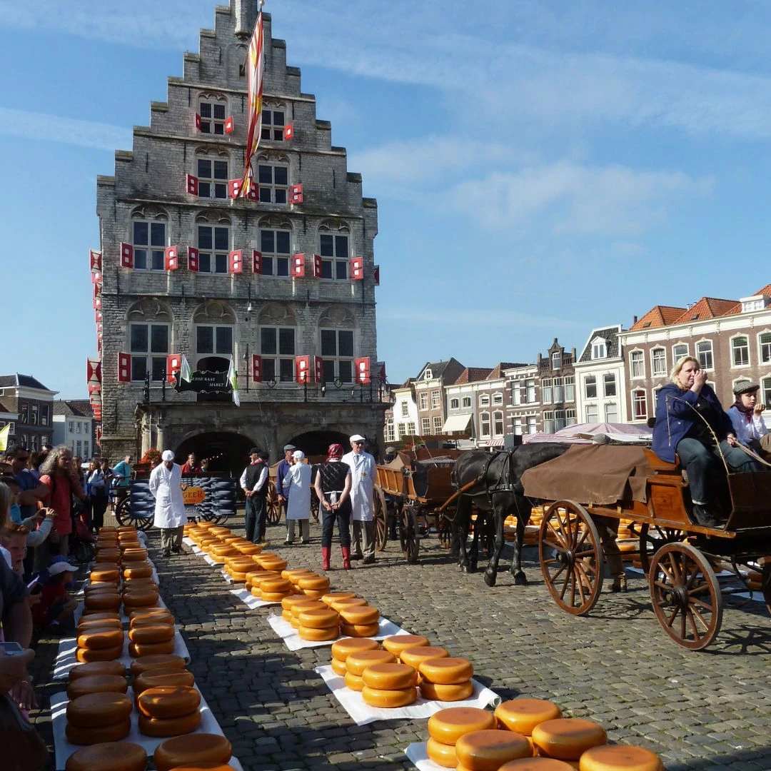 Traditioneller Käsemarkt in Holland mit Käse und historischen Wagen.