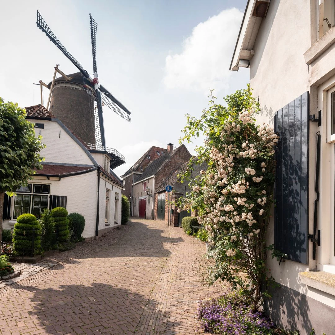 Malerische Straße mit einer Windmühle im Hintergrund